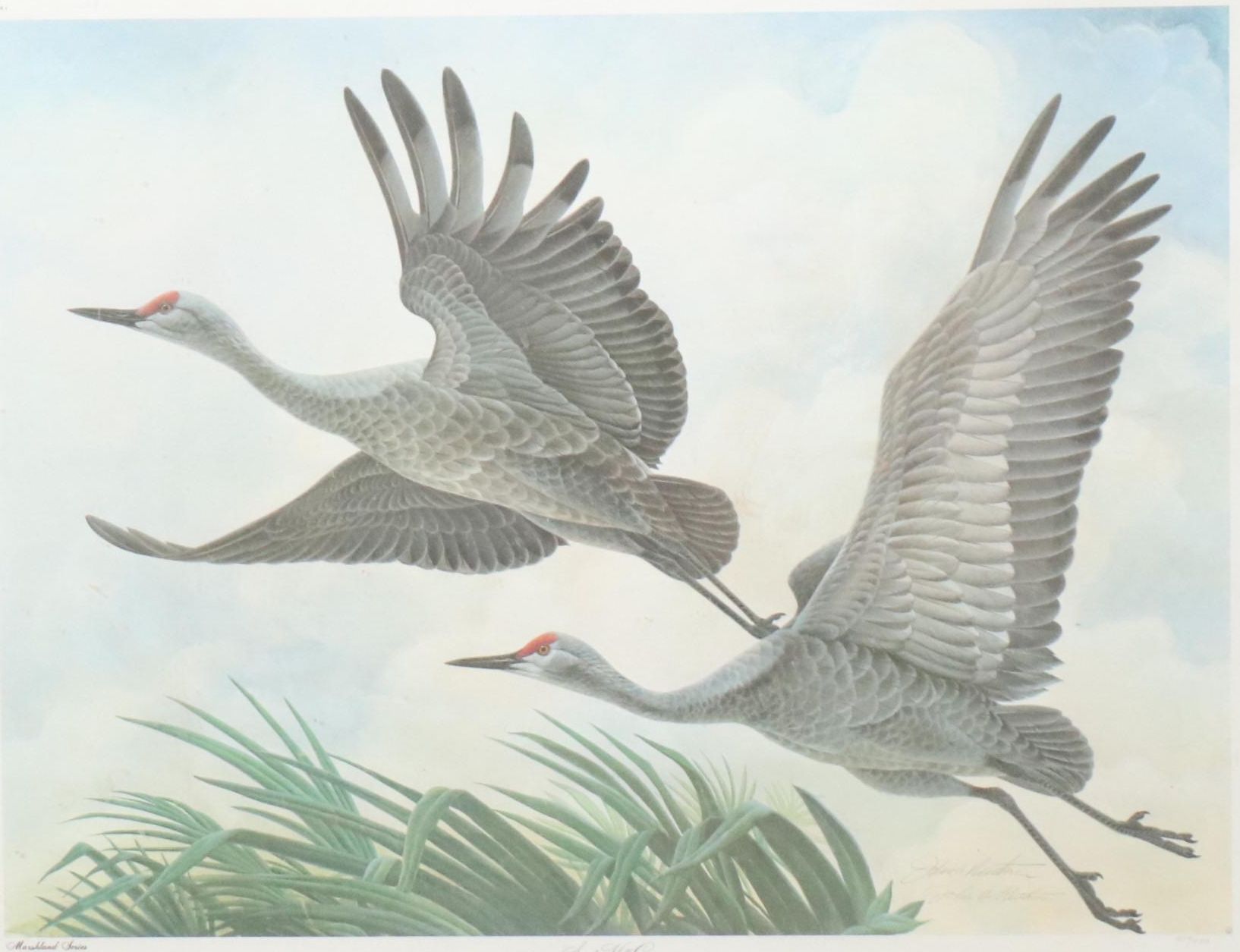 John A. Ruthven Offset Lithograph "Sand Hill Cranes," 1978