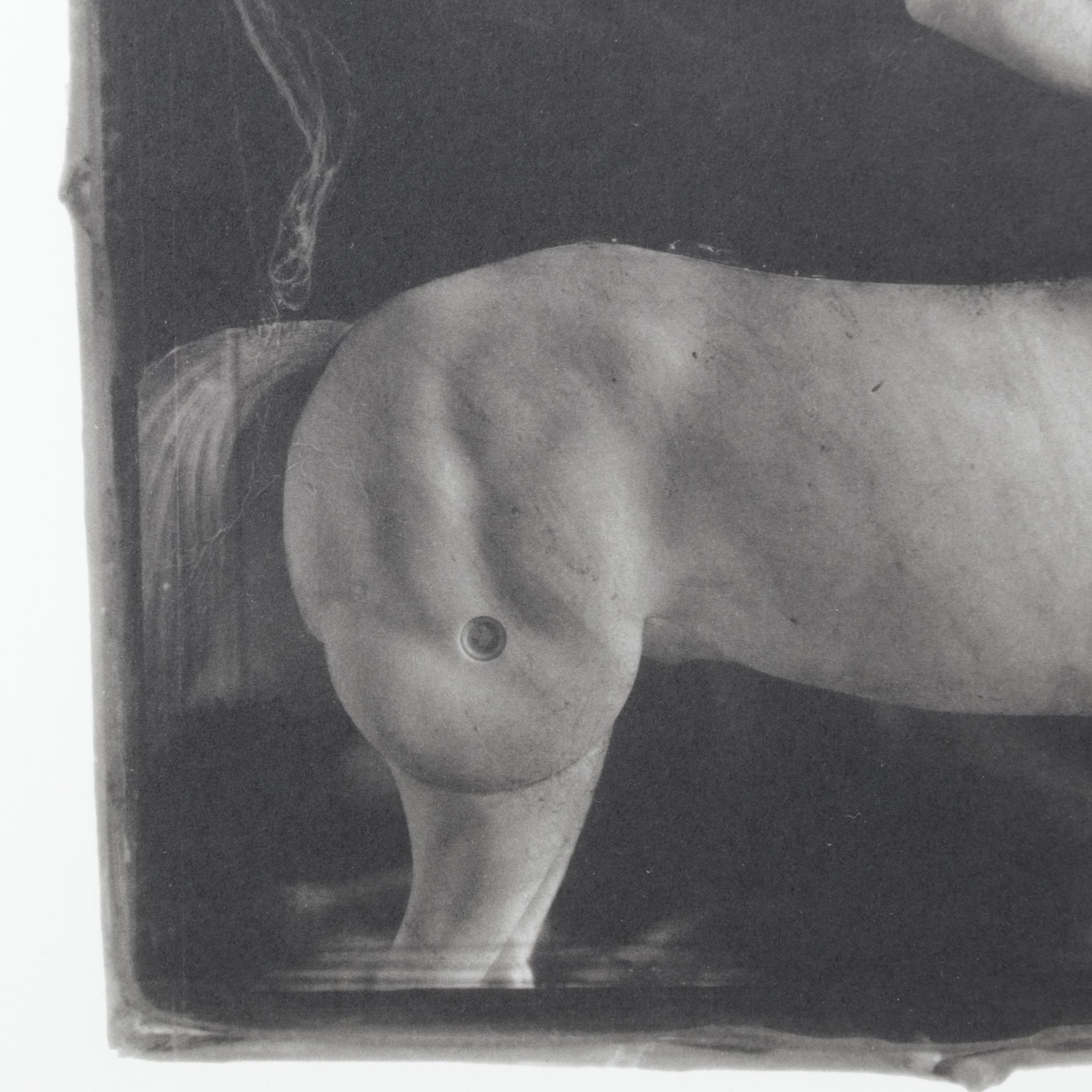 Monochrome Photolithograph "Centaur" by Kelly Grider