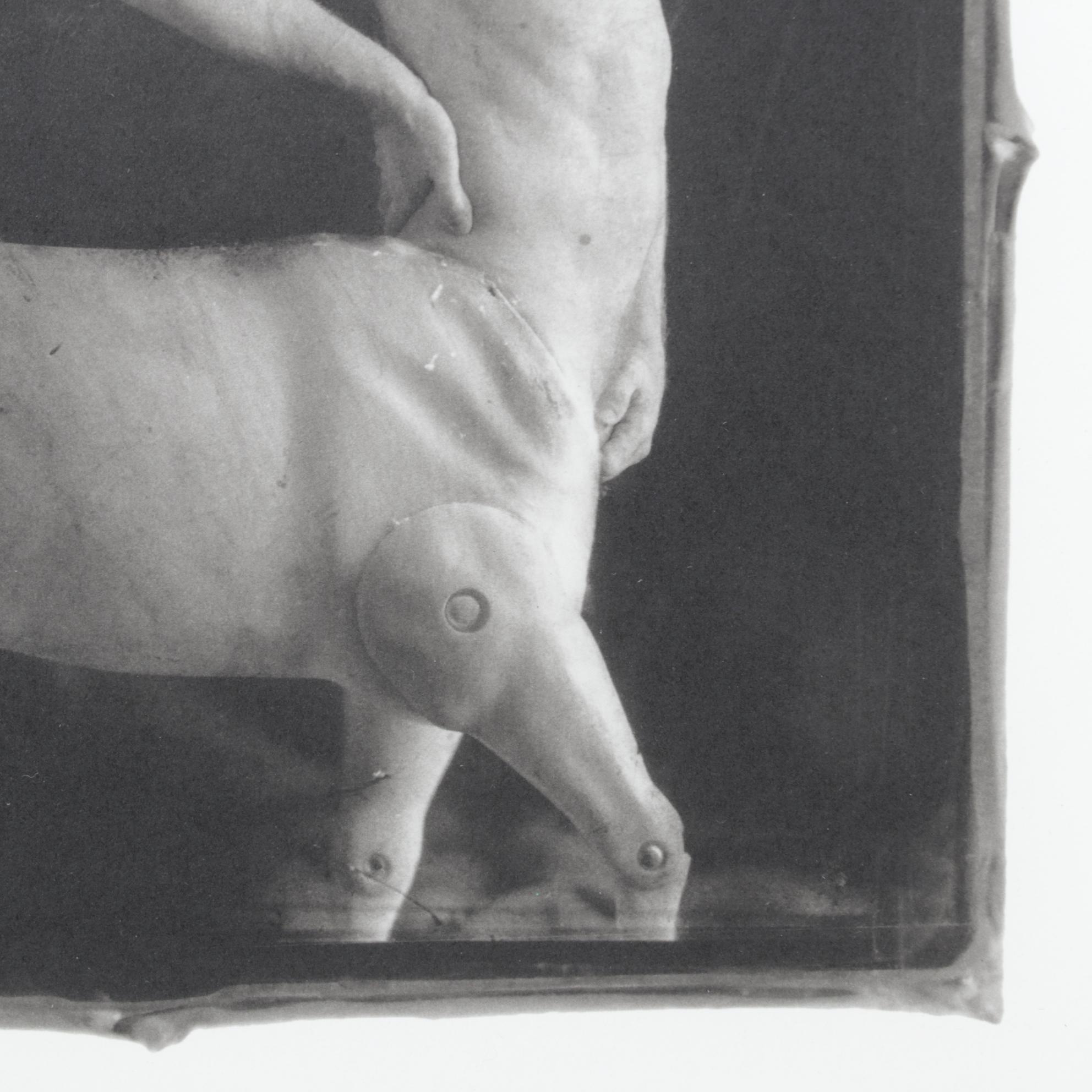 Monochrome Photolithograph "Centaur" by Kelly Grider