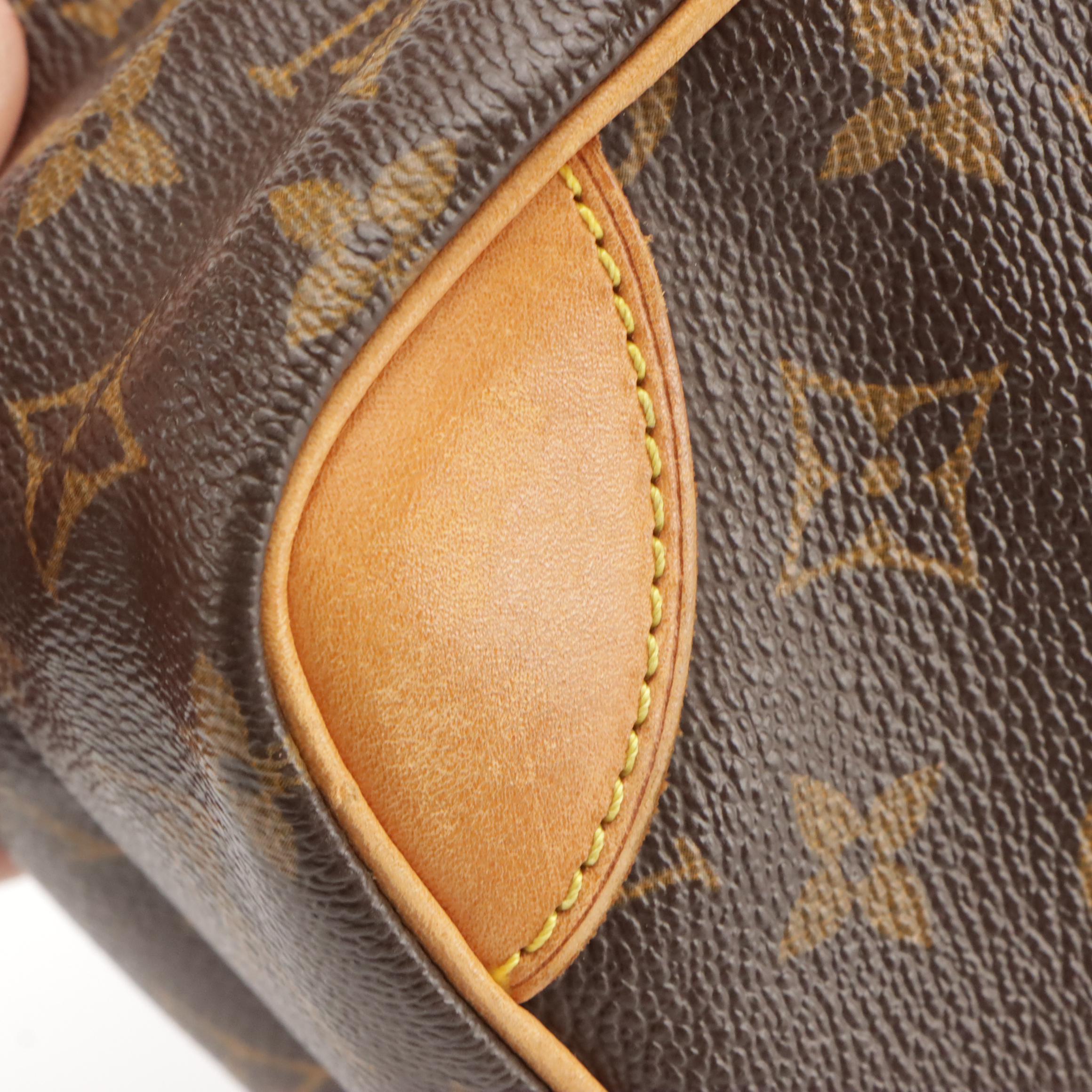 Louis Vuitton Amazone Crossbody in Monogram Canvas and Vachetta Leather