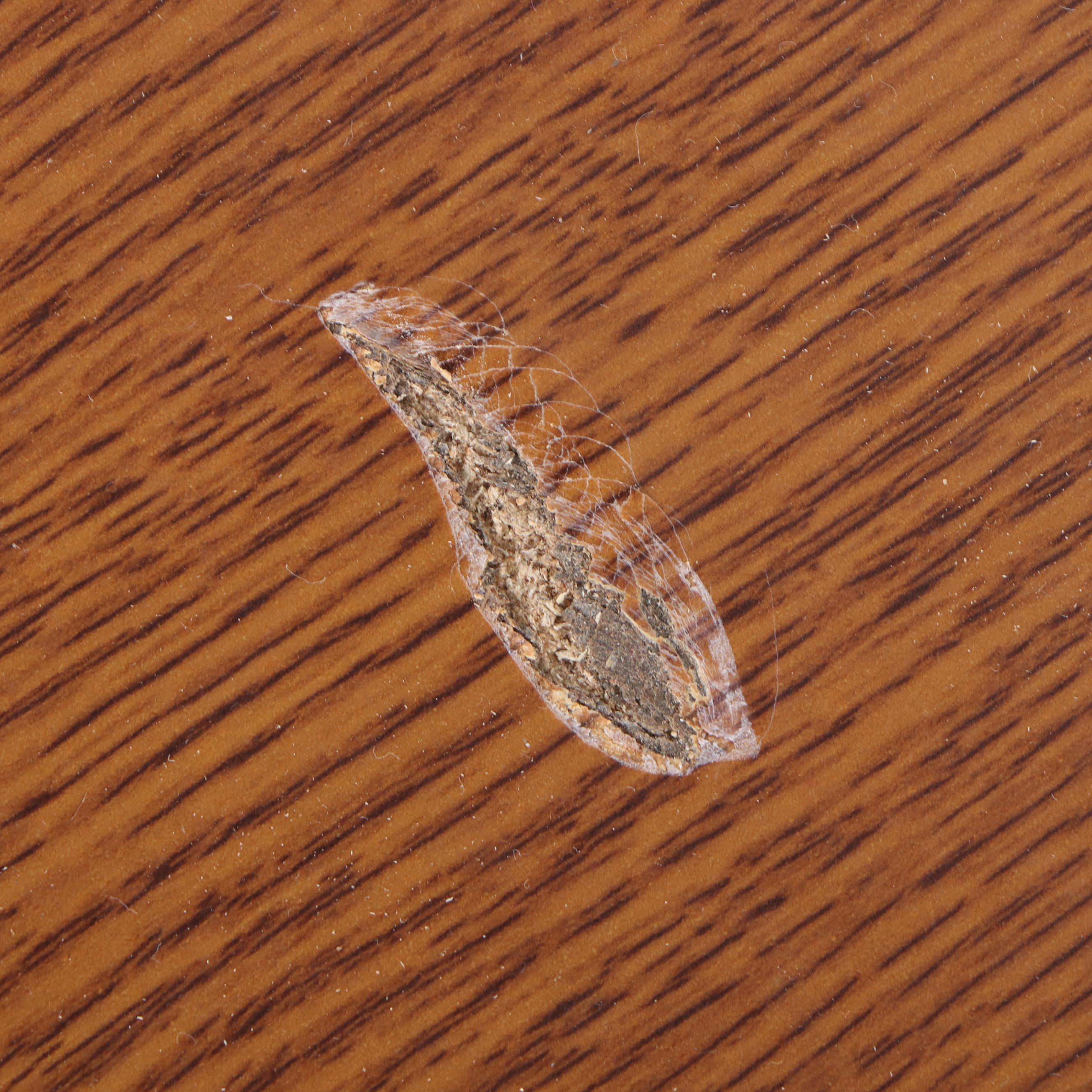 Two 4' Round Laminate Table Tops