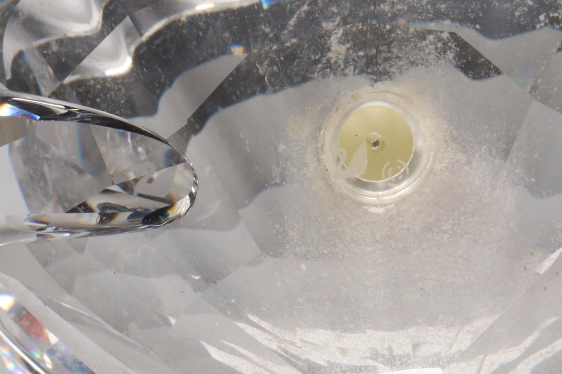 Swarovski Crystal "Siamese Fighting Fish" with Other Figurines