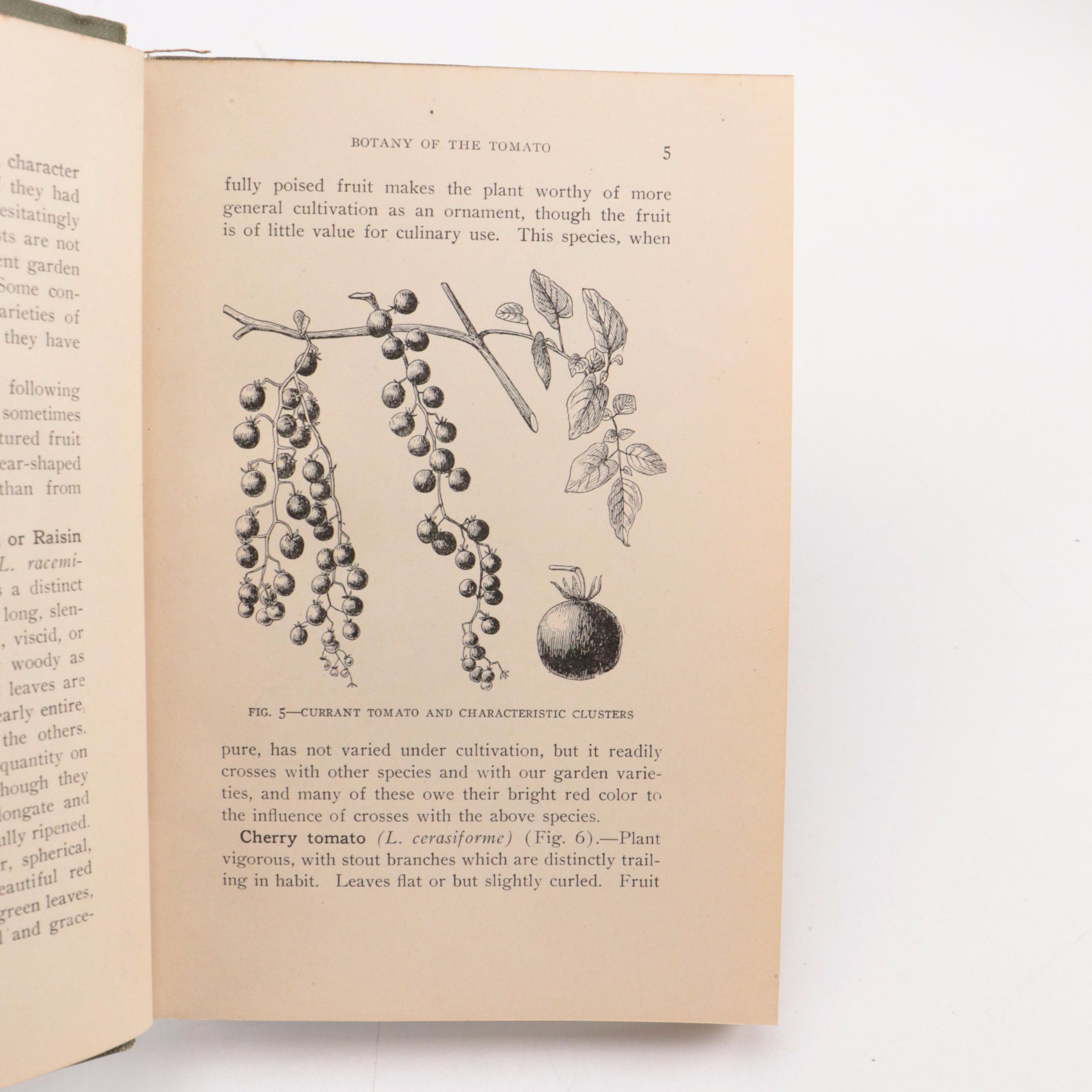 "Essentials of Systematic Pomology" by Brooks D. Drain and More Books