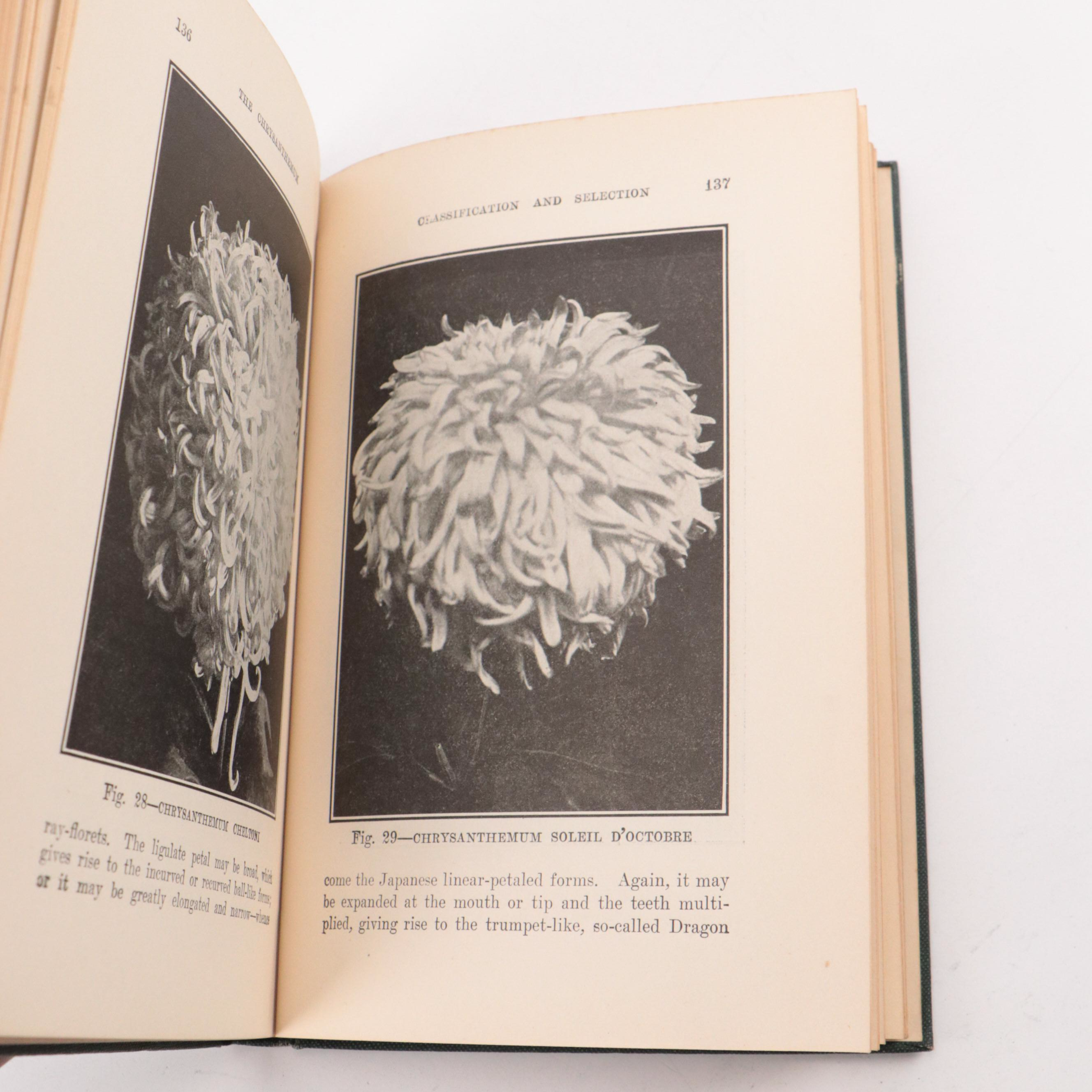 "Essentials of Systematic Pomology" by Brooks D. Drain and More Books