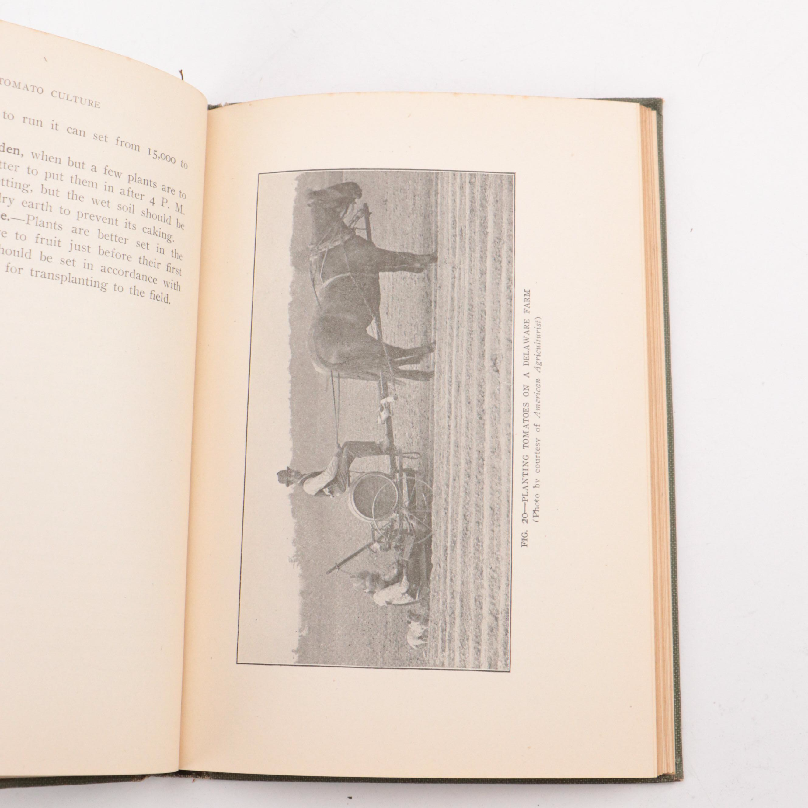 "Essentials of Systematic Pomology" by Brooks D. Drain and More Books