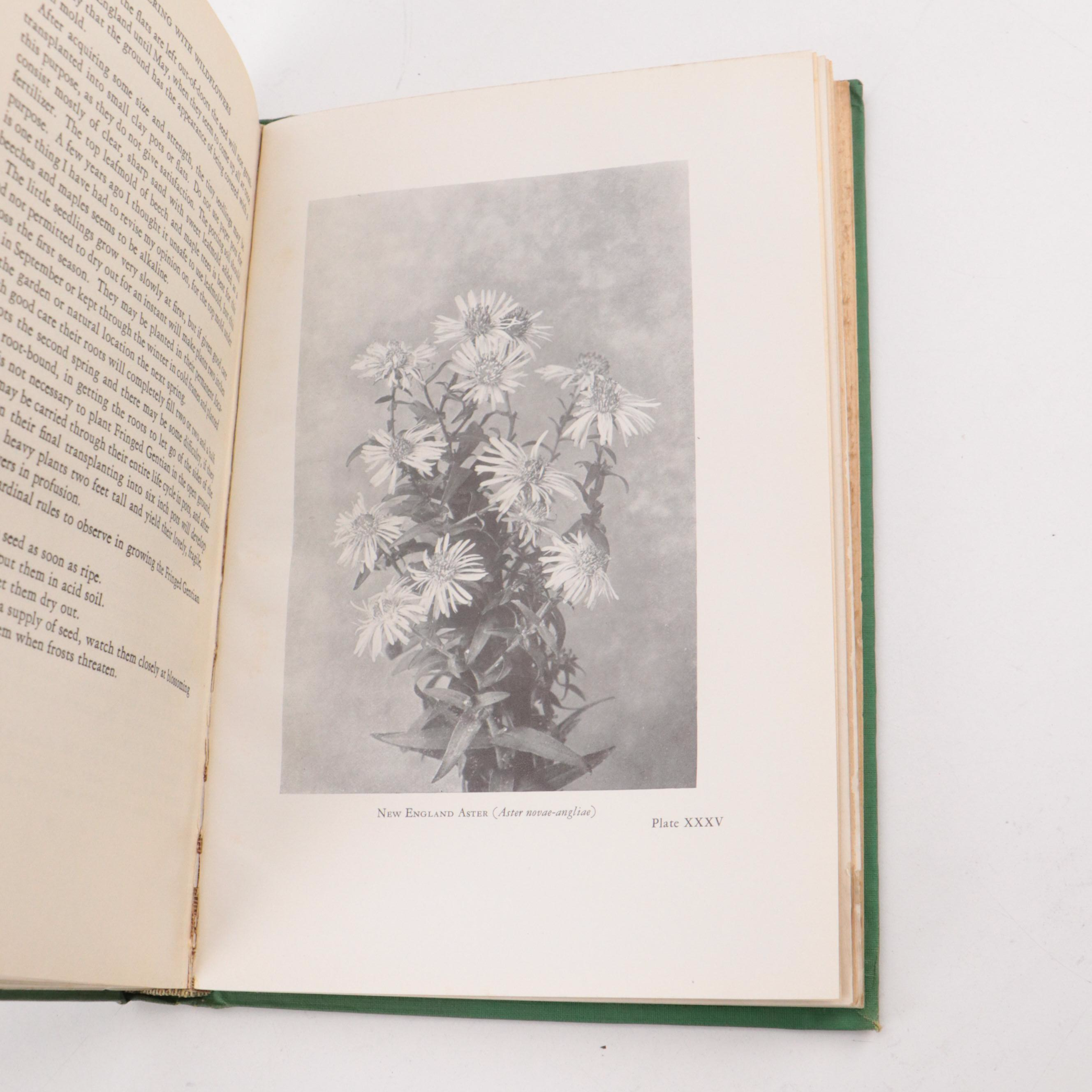 "Essentials of Systematic Pomology" by Brooks D. Drain and More Books