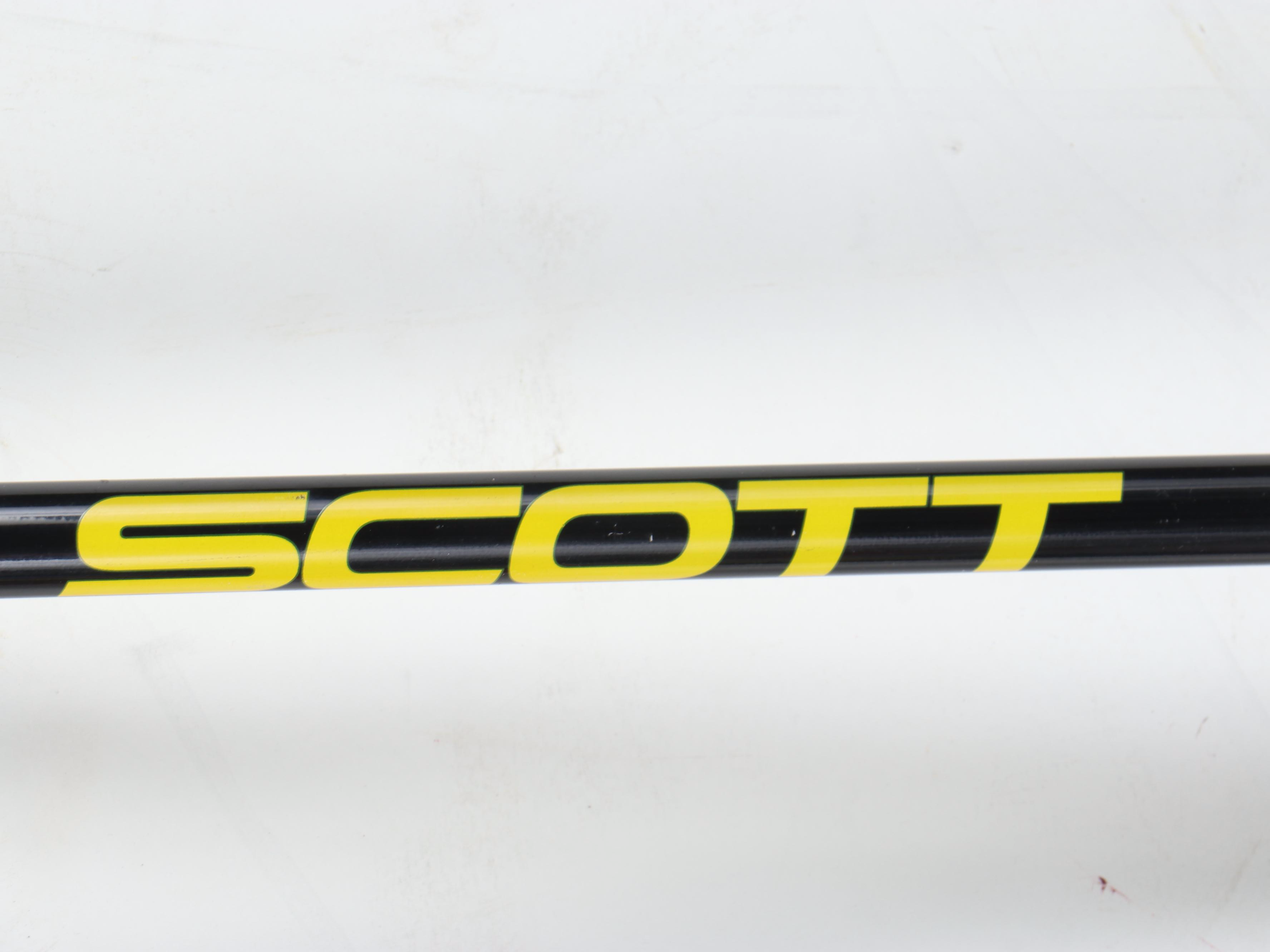 Kneissl Ergo Skis with Scott and Other Ski Poles