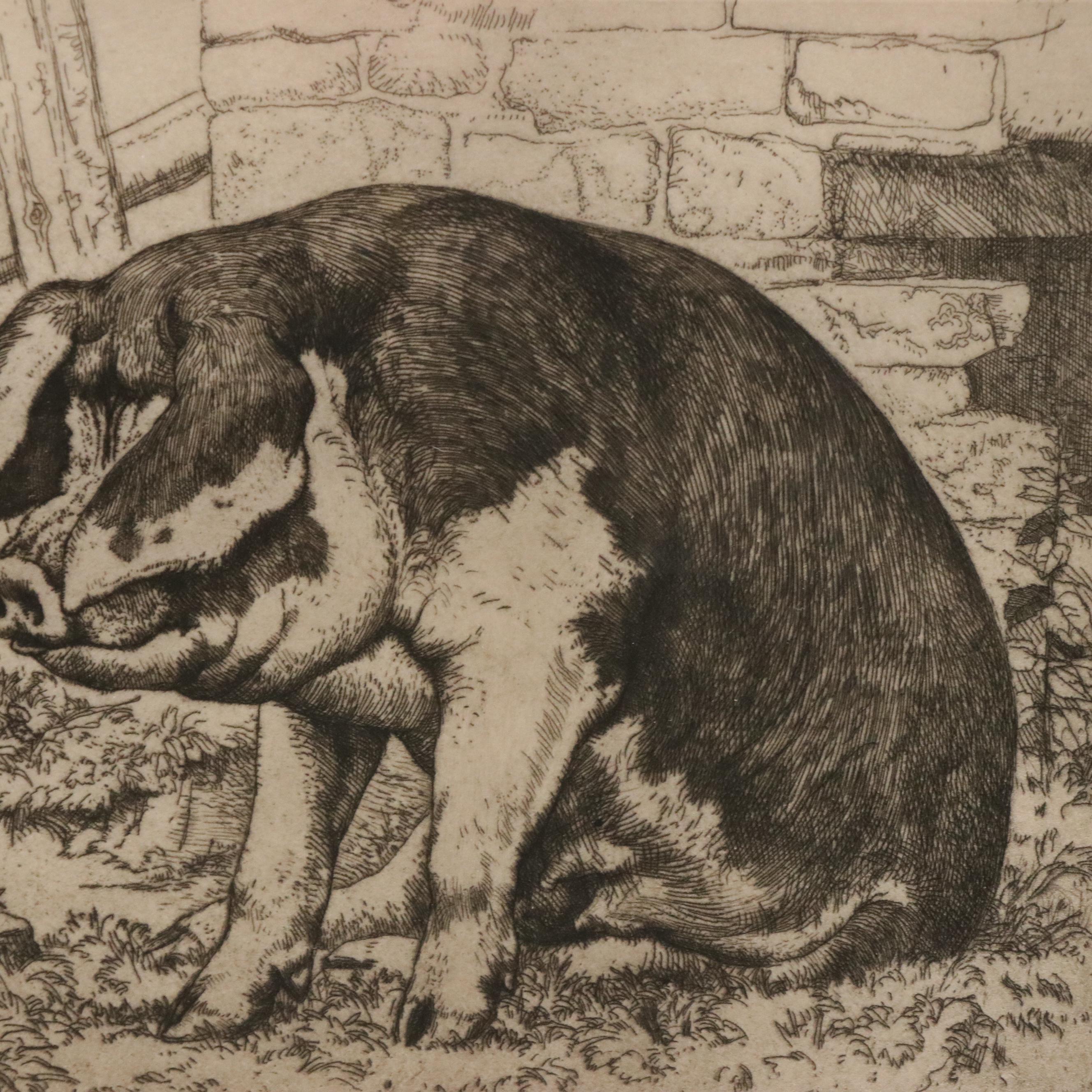 Charles Frederick Tunnicliffe Etching of Pig "Spotted Sow," 1901
