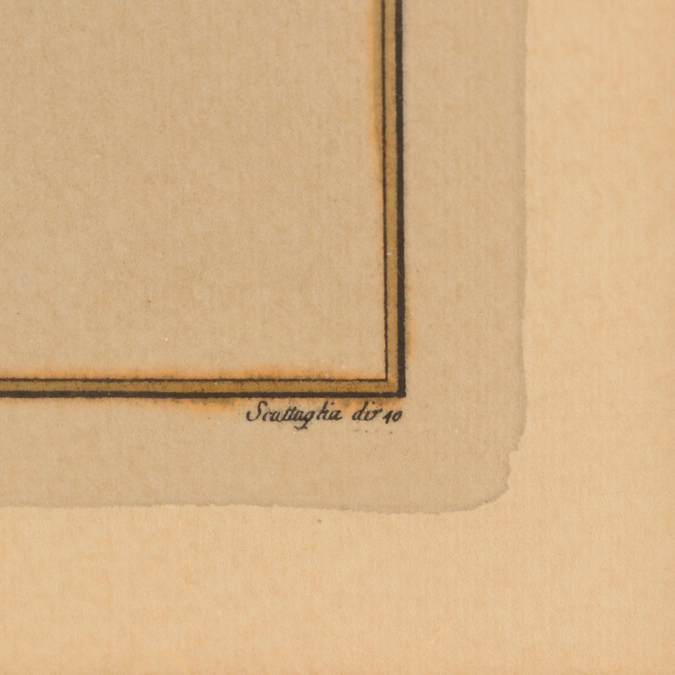 Hand-Painted Collotype Butterfly Illustration "Le P. petit Silvain"