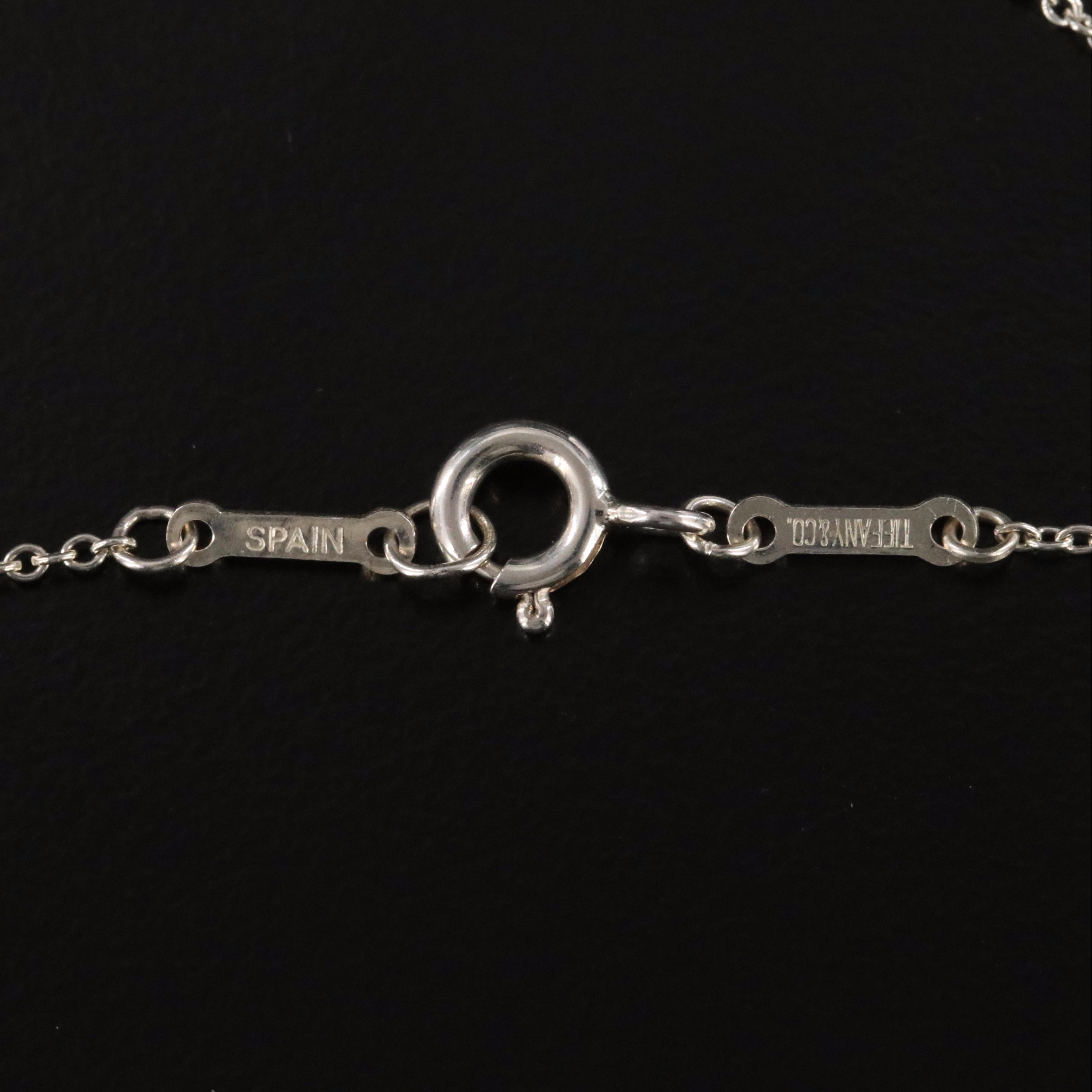 Elsa Peretti for Tiffany & Co. Sterling Apple Pendant Necklace