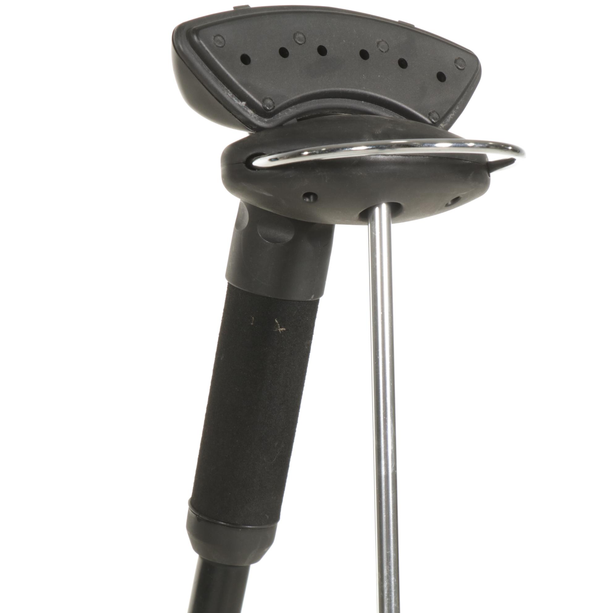 Rowenta Commercial Portable Vertical Steamer