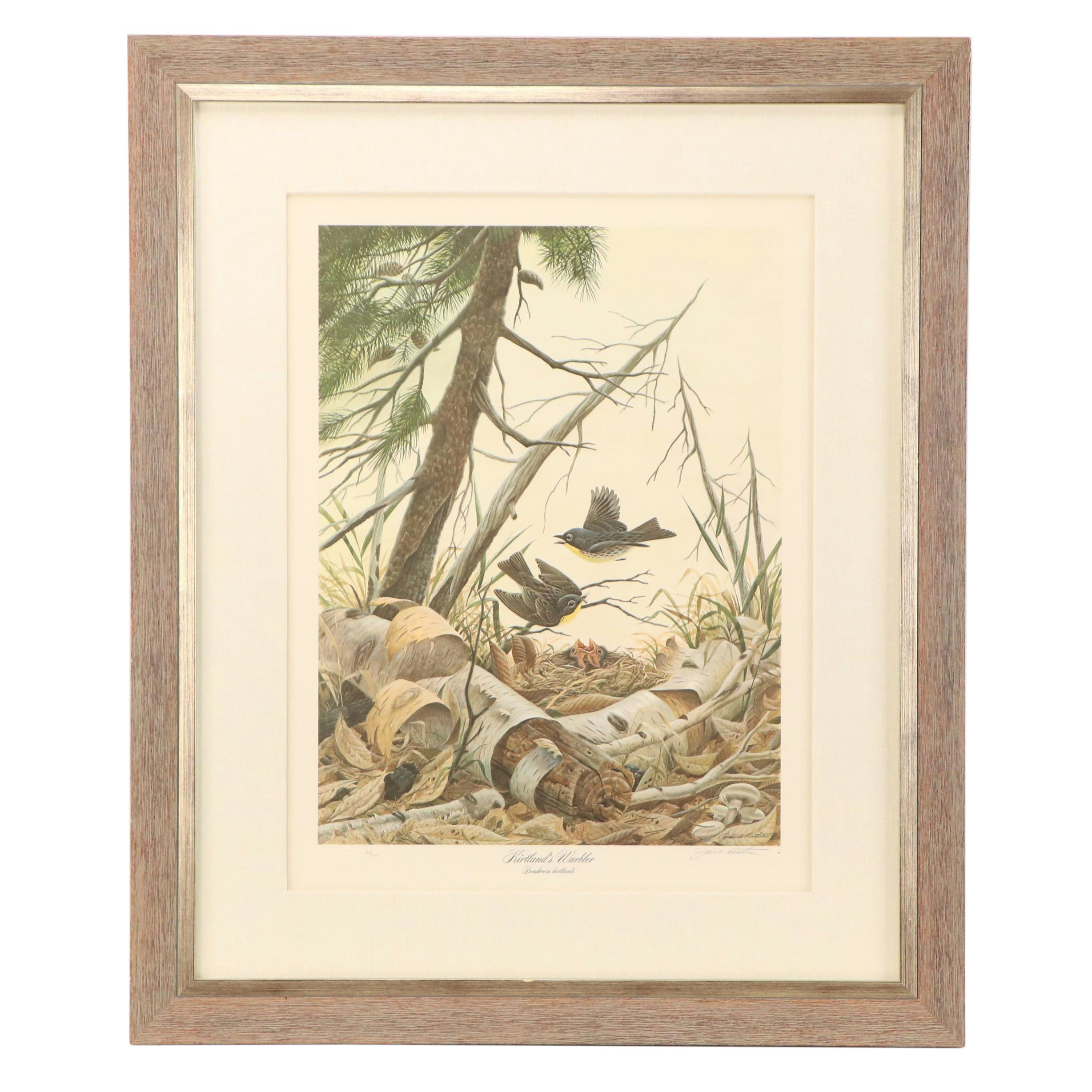 John A. Ruthven Offset Lithograph "Kirtland's Warbler," Late 20th Century