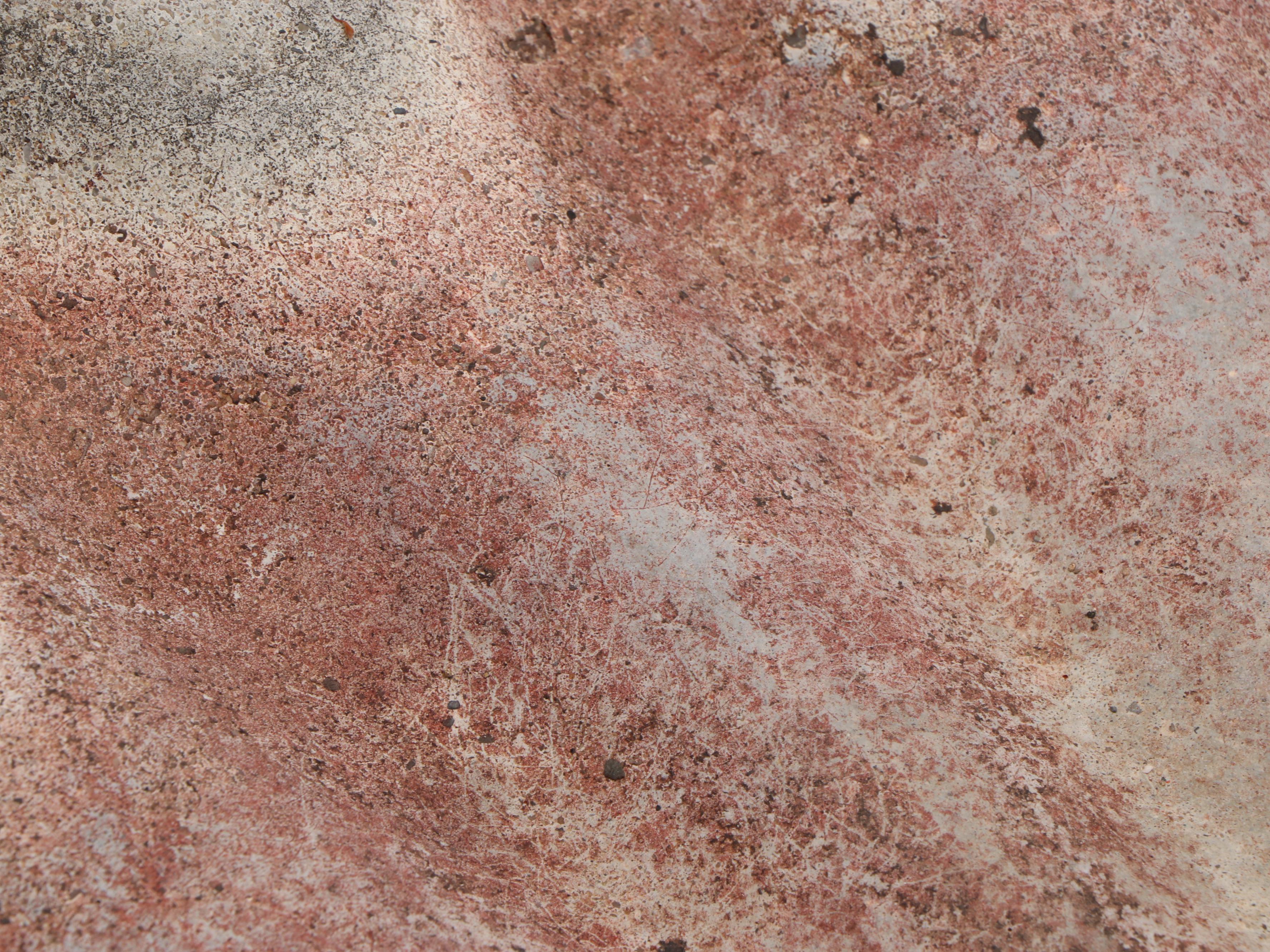 Cast Concrete Ruffled Bird Bath with Painted Concrete Seahorse Base