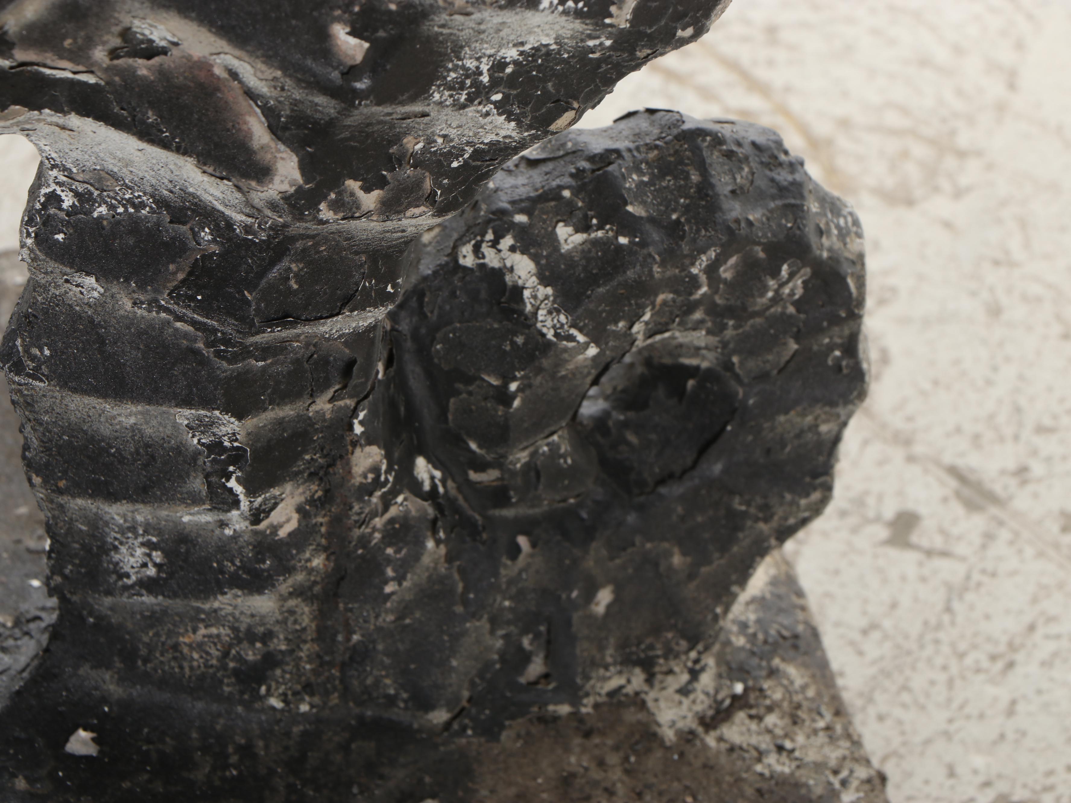 Cast Concrete Ruffled Bird Bath with Painted Concrete Seahorse Base