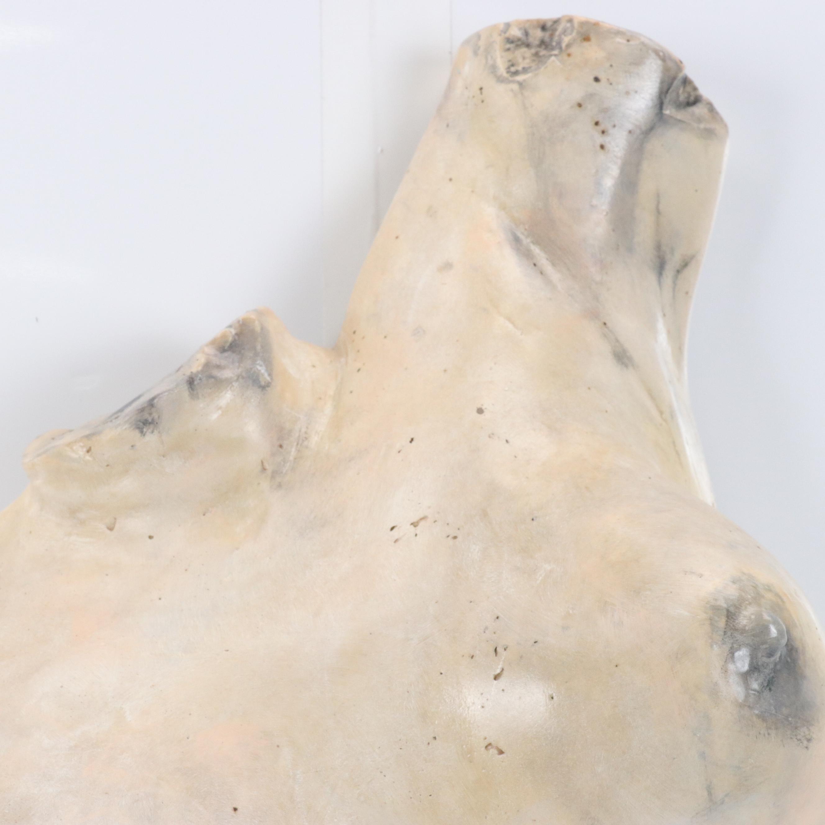 Female Torso Painted Plaster Wall Sculpture