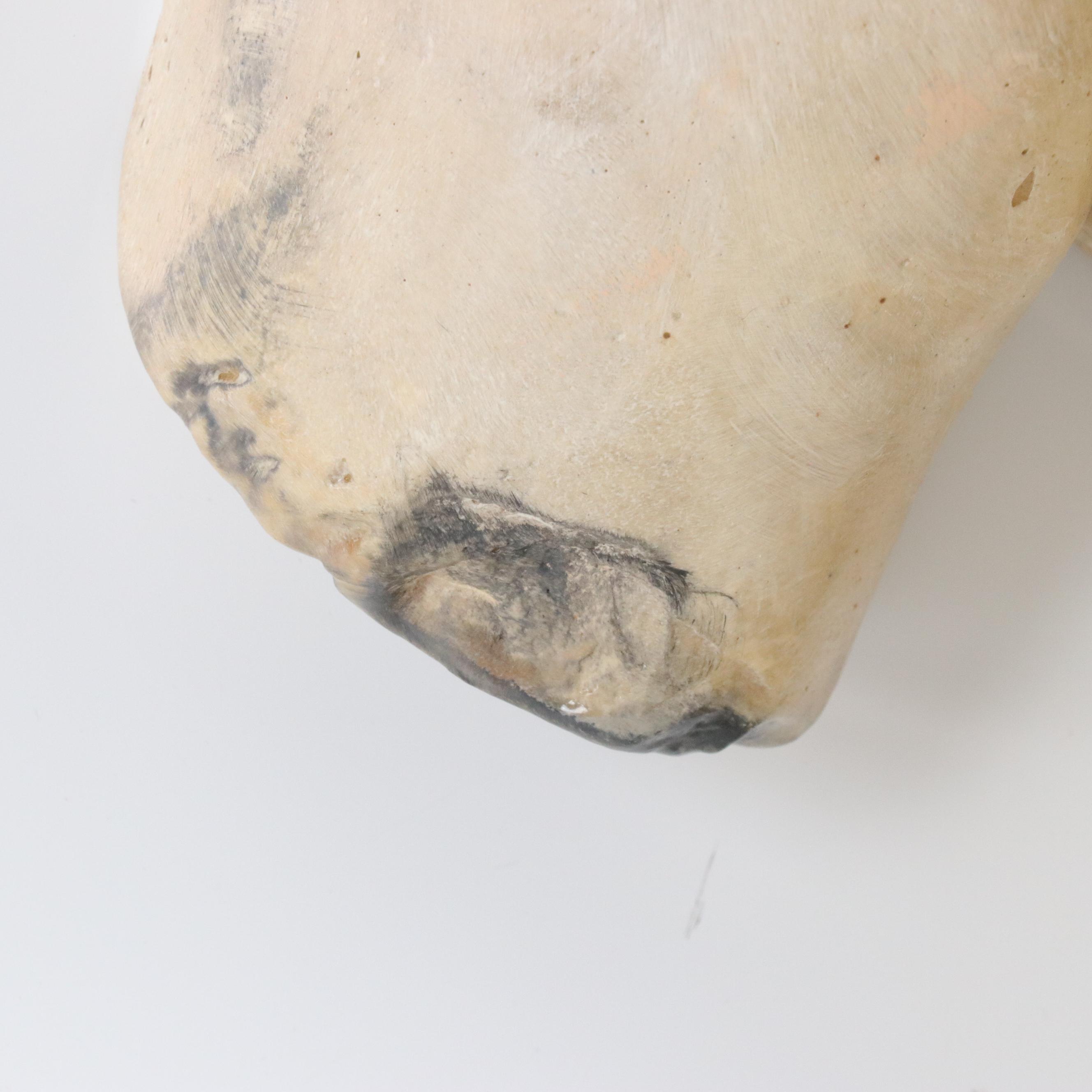 Female Torso Painted Plaster Wall Sculpture