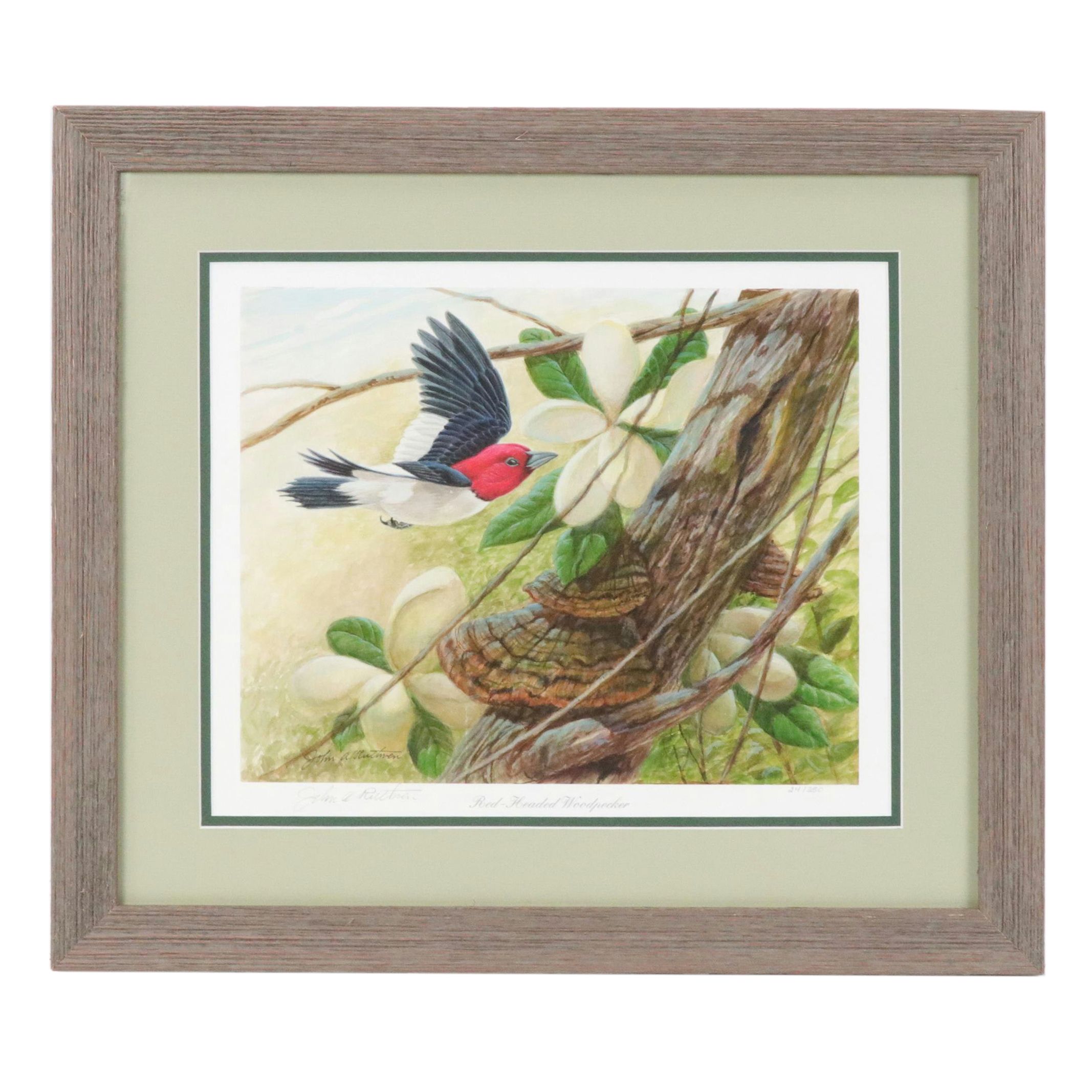 John A. Ruthven Giclée "Red-Headed Woodpecker," 21st Century