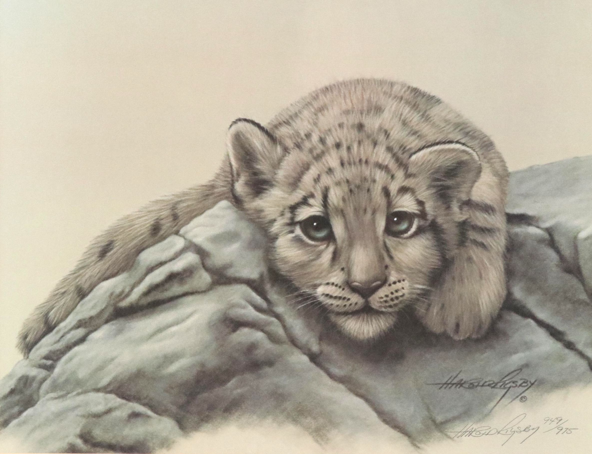 Harold Rigsby Offset Lithograph of Snow Leopard, Late 20th Century