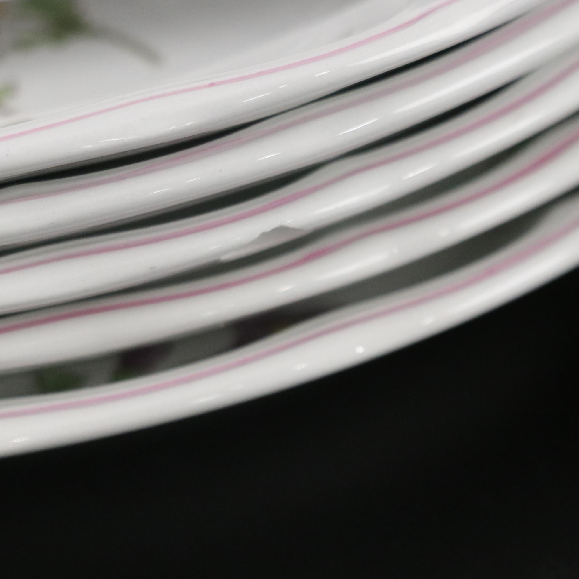 Spode "Marlborough Sprays" Stone China Plates, Teacups & More