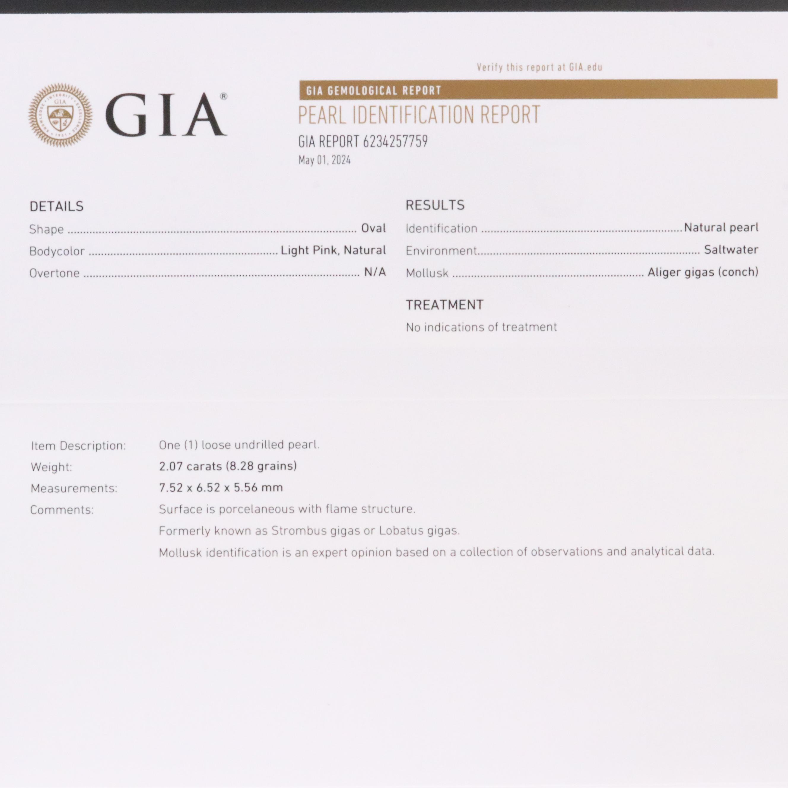 Loose 2.07 CT Natural Conch Pearl with GIA Report