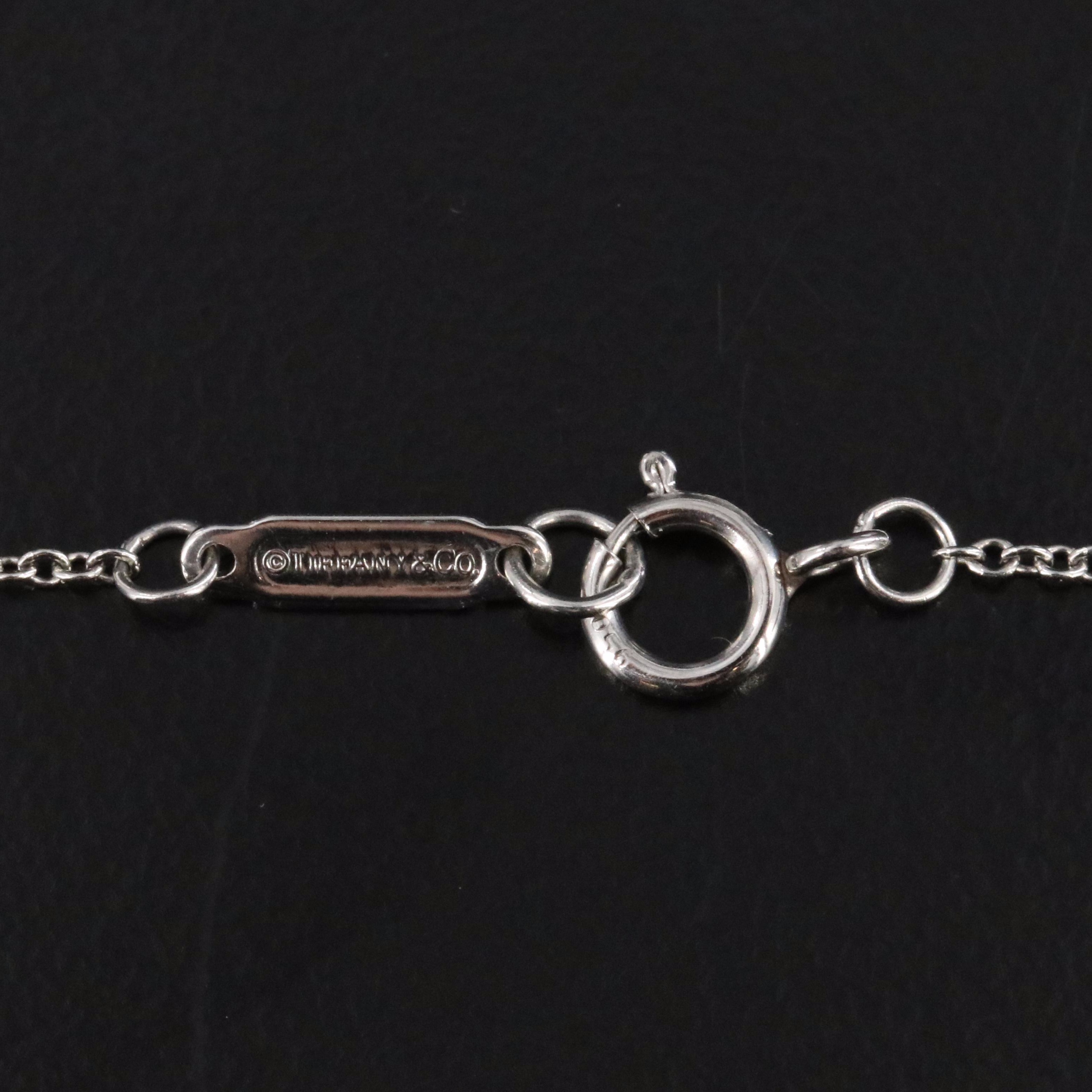 Tiffany & Co. Platinum Diamond Solitaire Necklace