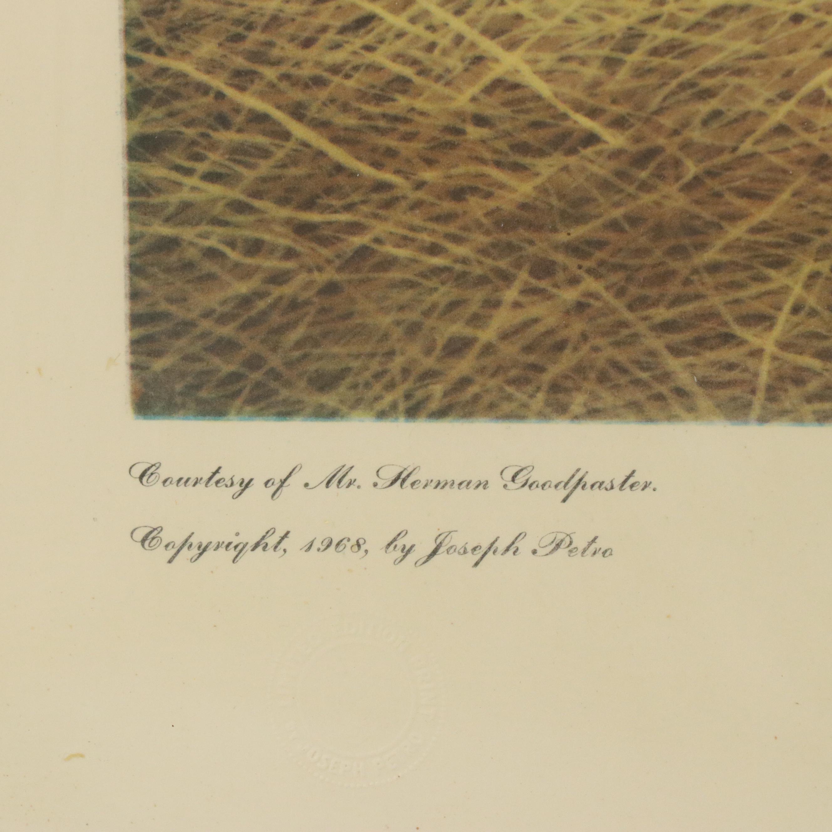 Joseph Petro Offset Lithograph "White Beauty"