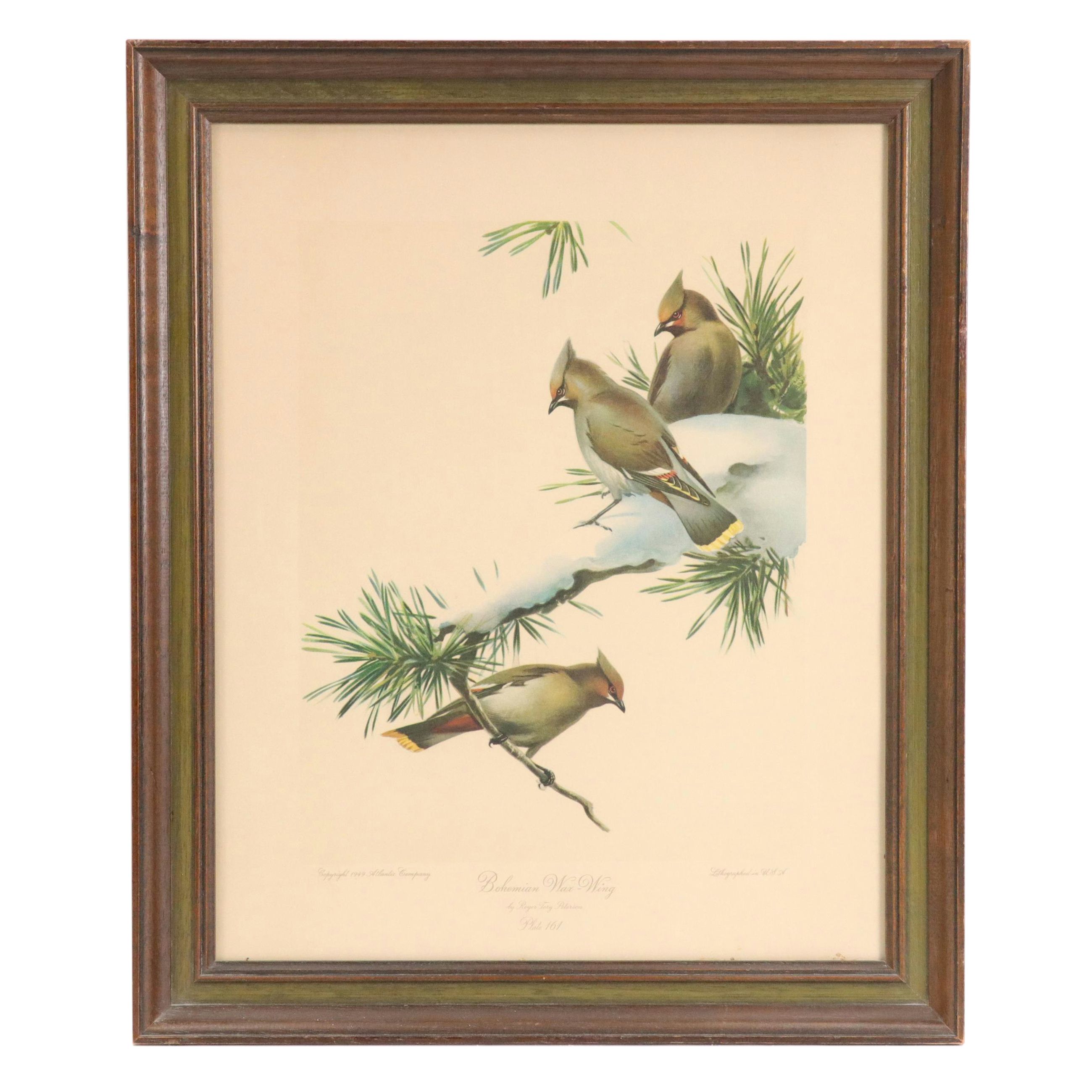 Ornithological Color Halftone After Roger Tory Peterson "Bohemian Wax-Wing"