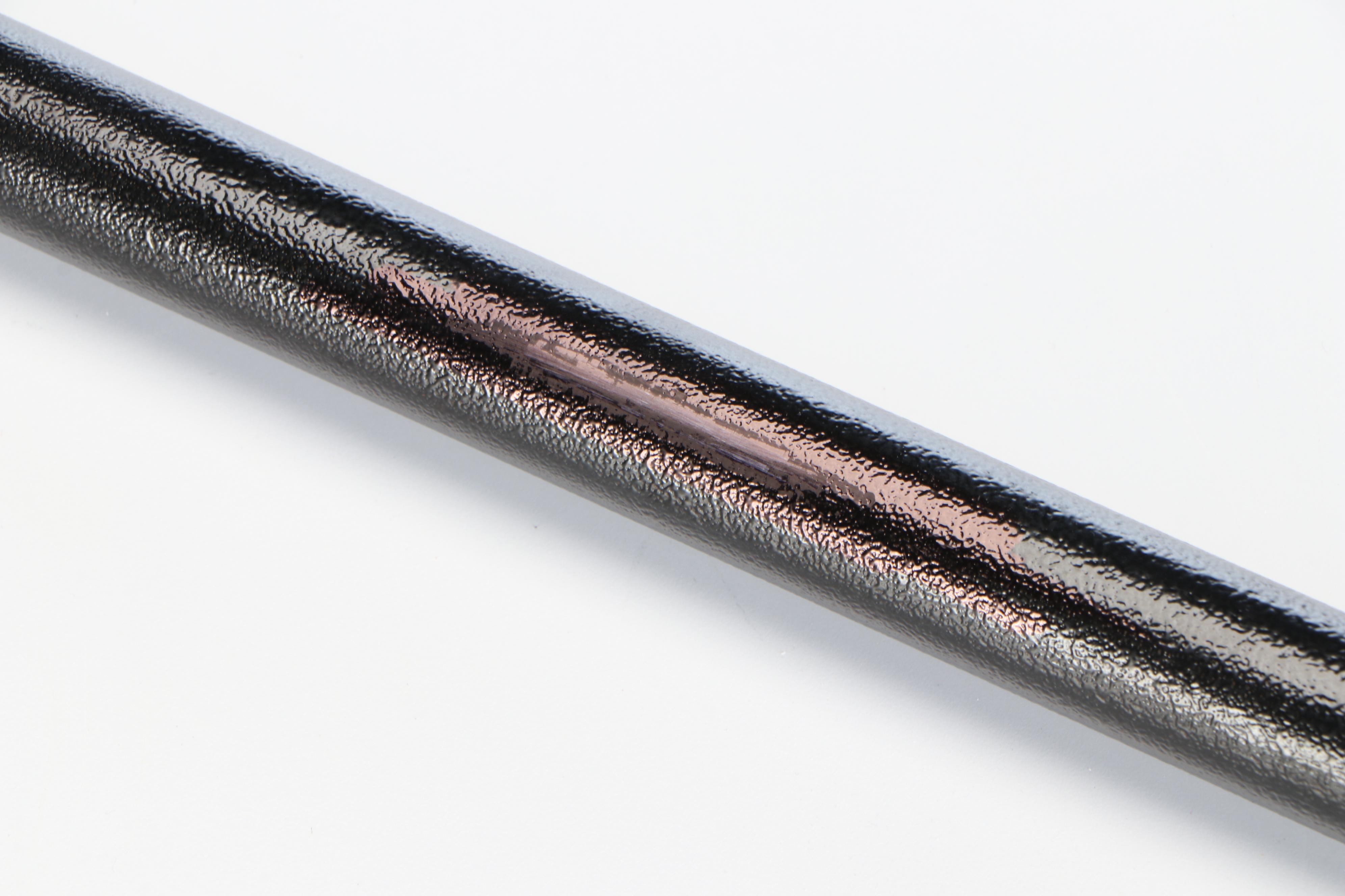 Leaping Lion Sword Cane