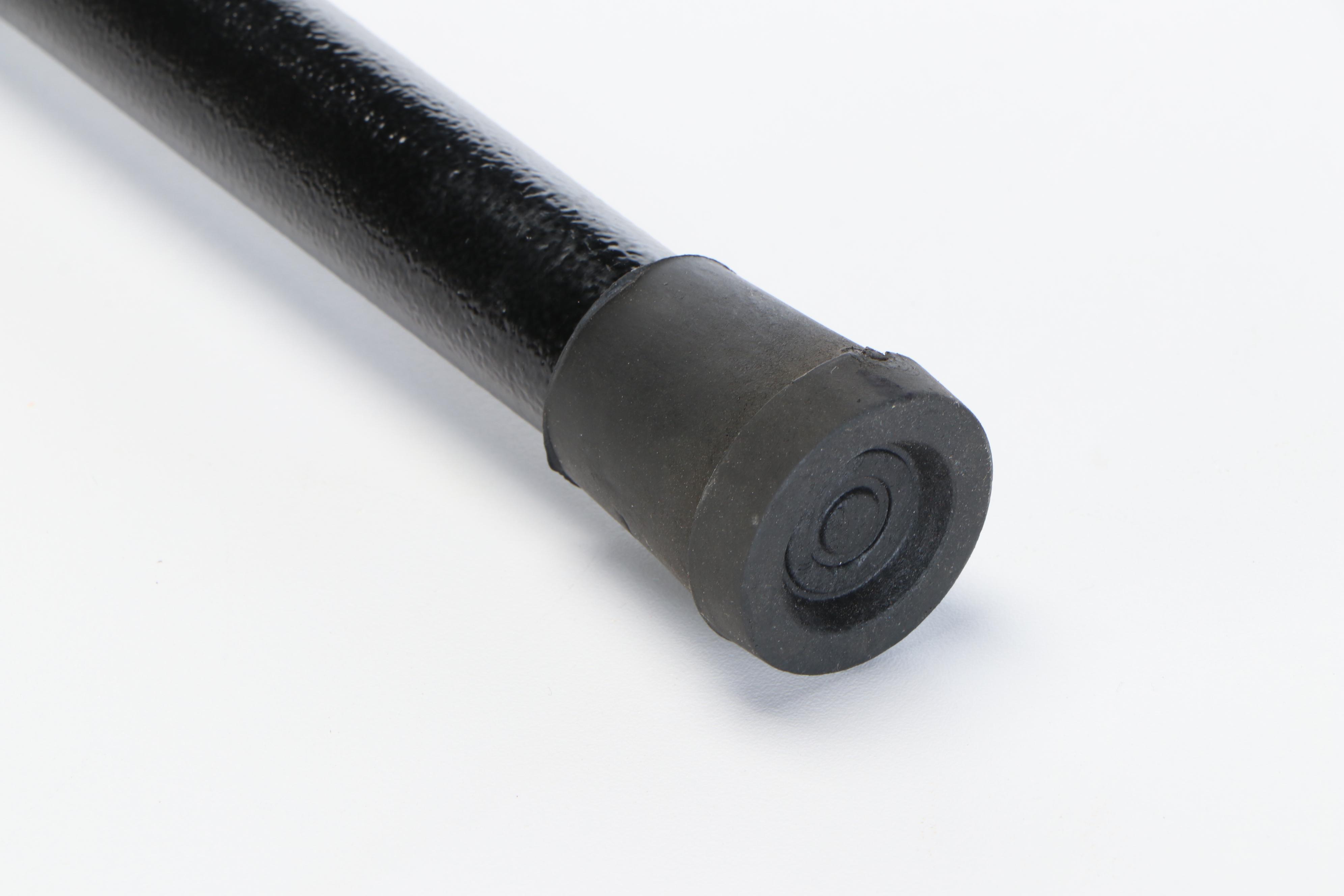 Leaping Lion Sword Cane