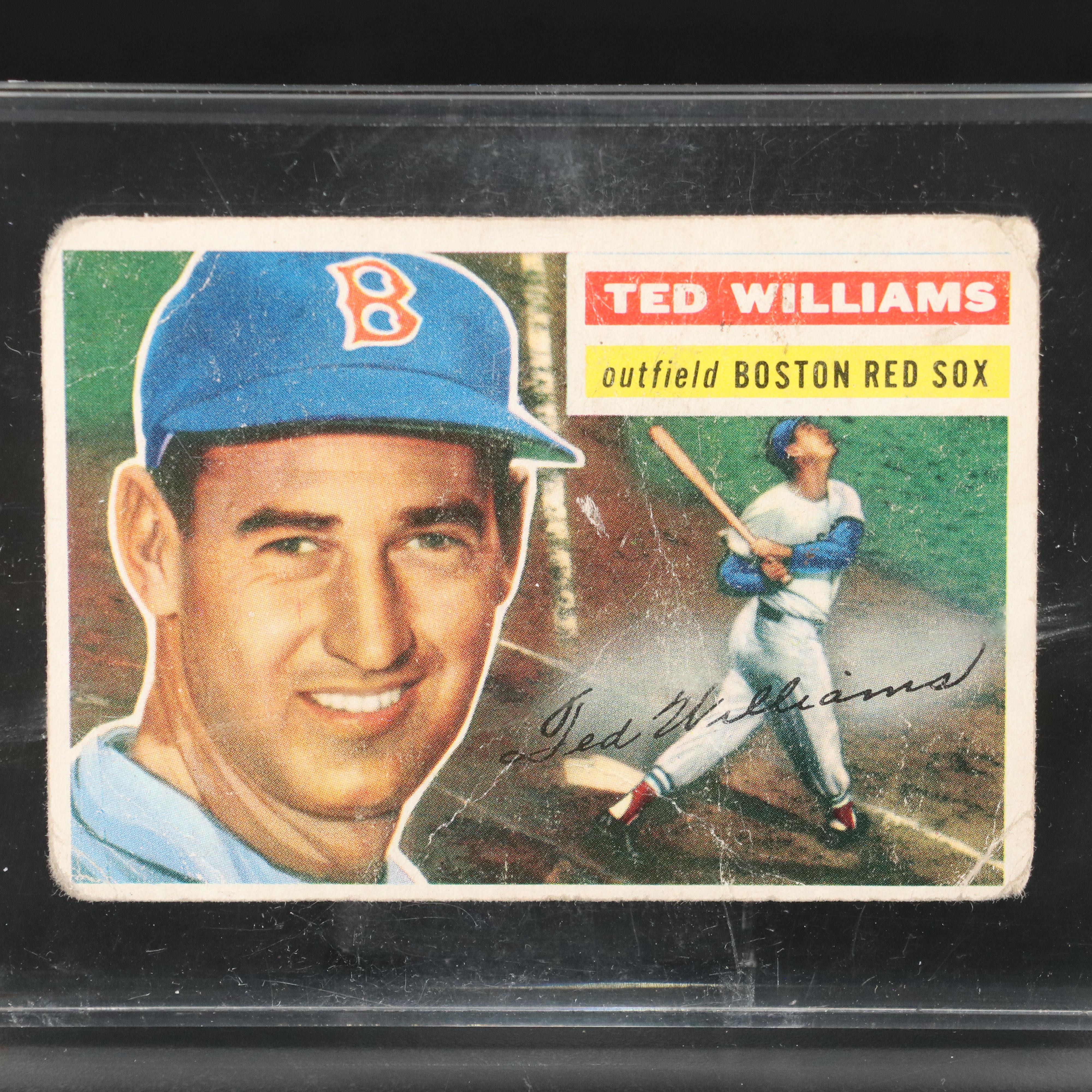 1954 and 1956 Topps Ted Williams Boston Red Sox Baseball Cards