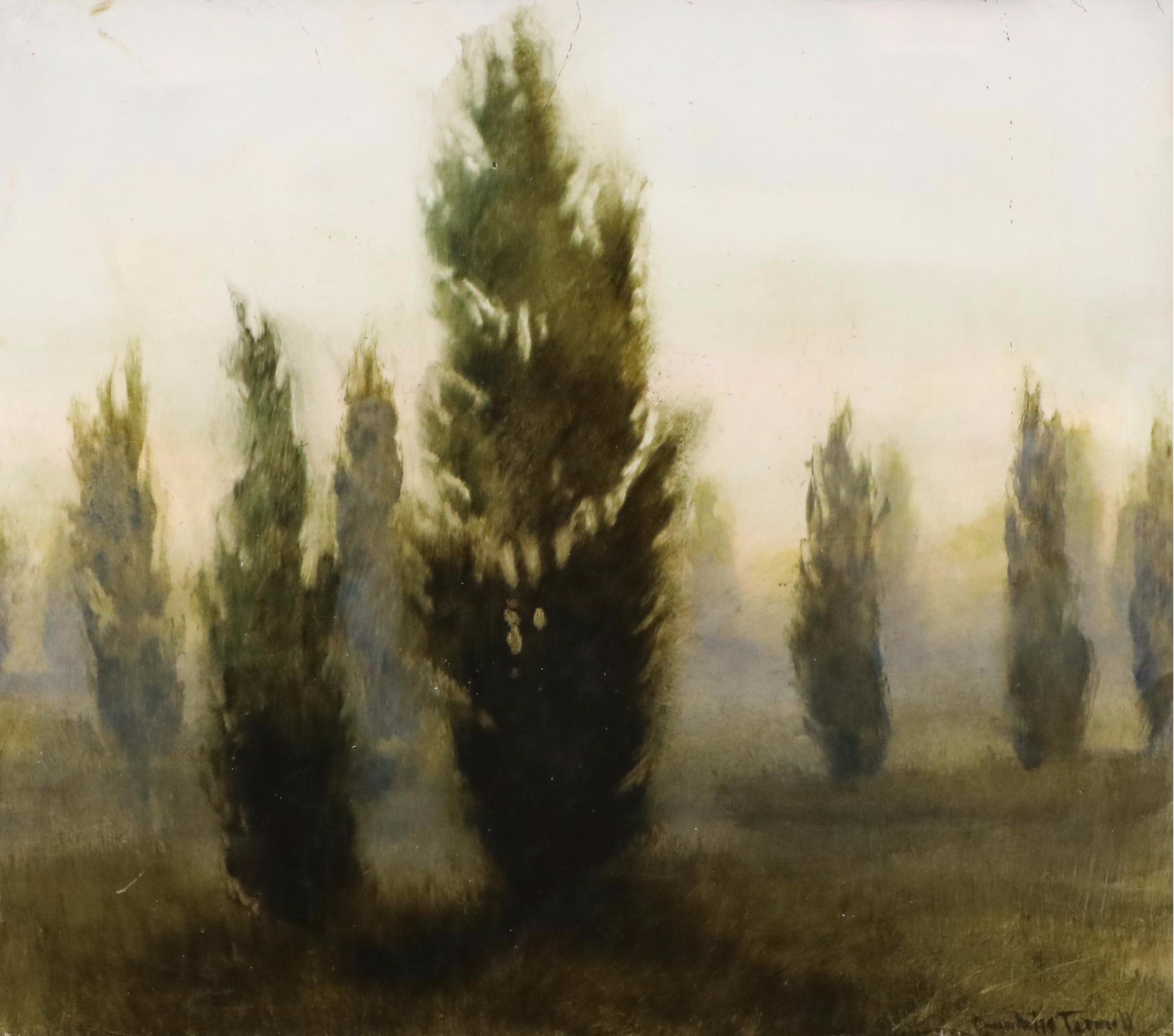 Charlotte Tinnell Landscape Oil Painting of Trees "Resolute," 2015
