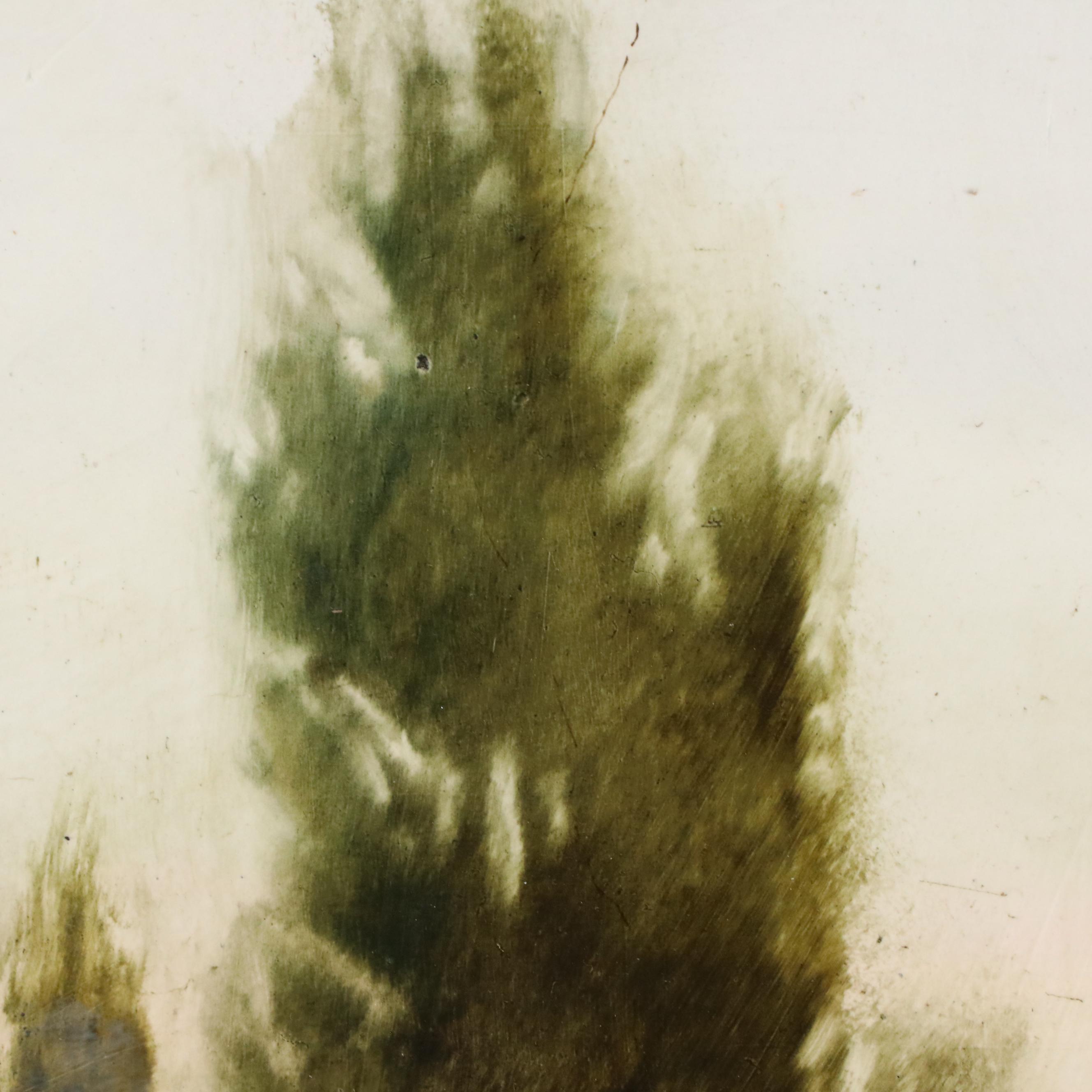 Charlotte Tinnell Landscape Oil Painting of Trees "Resolute," 2015