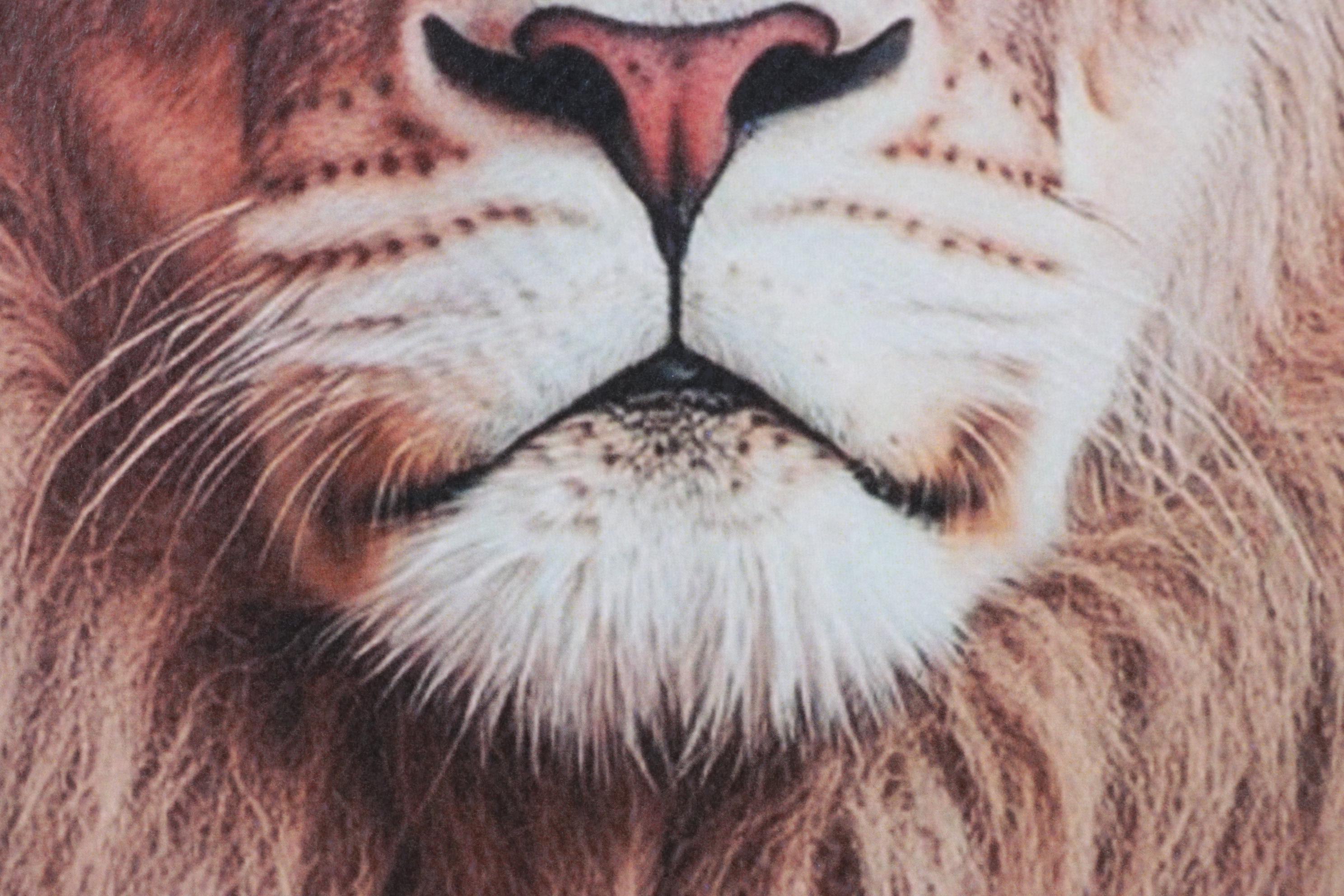 Death NYC Pop Art Homage to Gucci, 2025