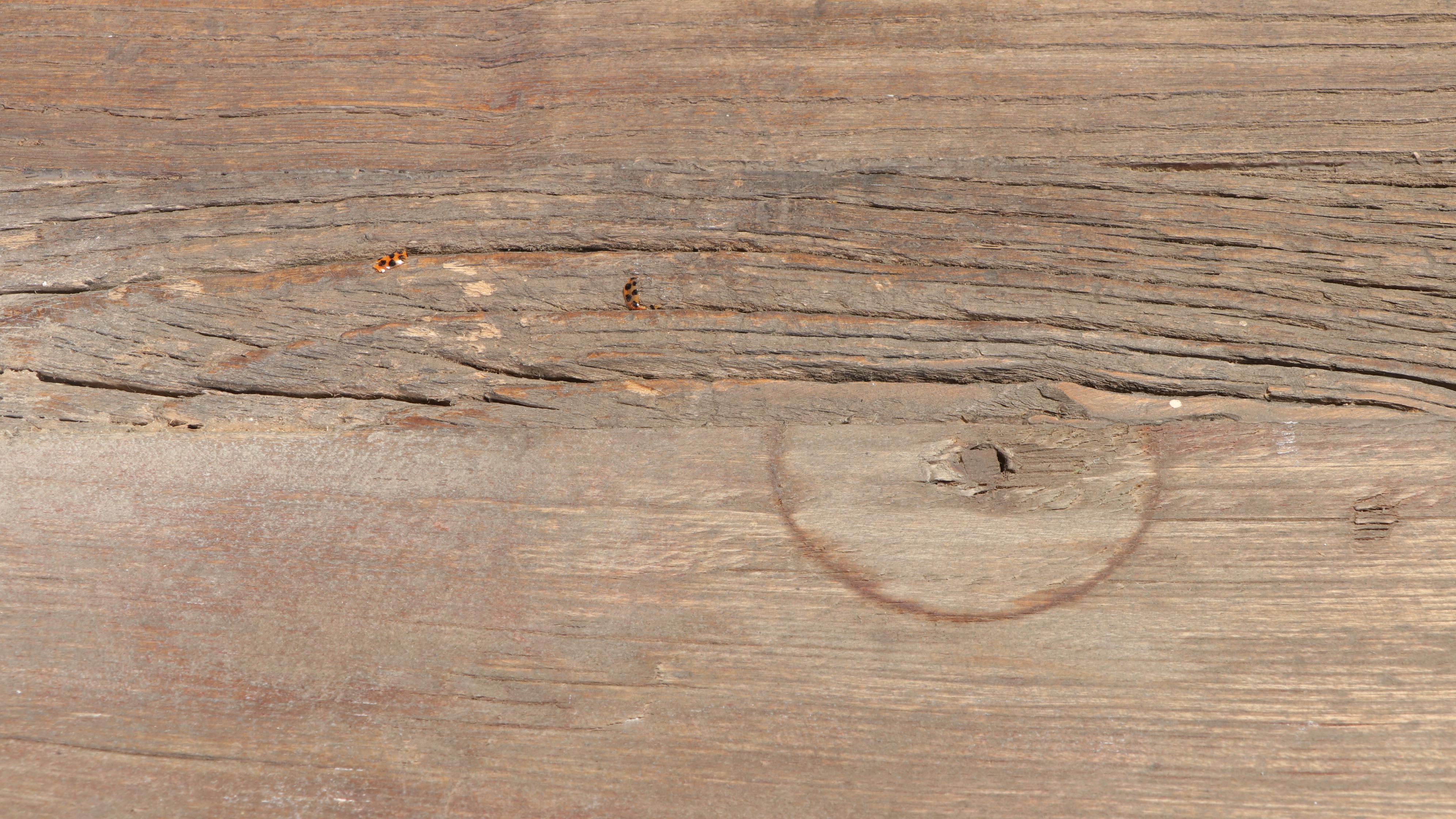 Rustic Reclaimed Pine Three-Drawer Chest