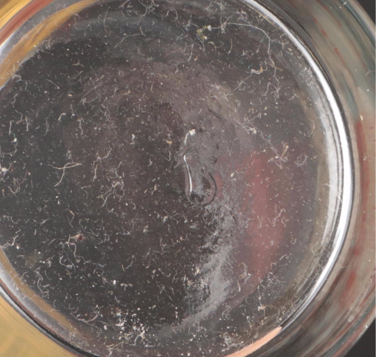 1983 and 1985 Spiral Spring Festival Jim Beam Stakes Highball Glasses