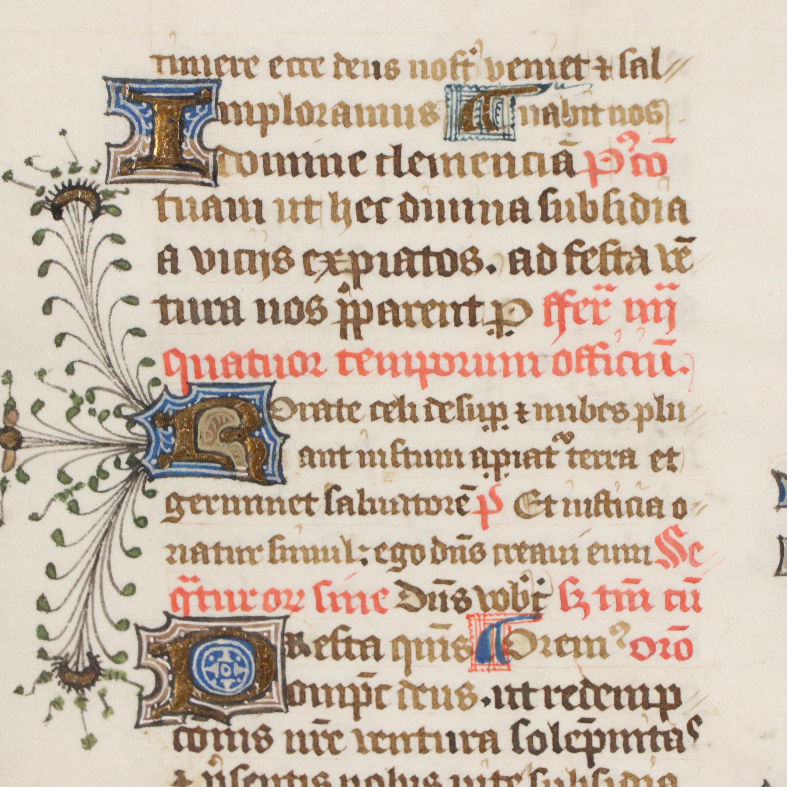 Illuminated Manuscript Leaf