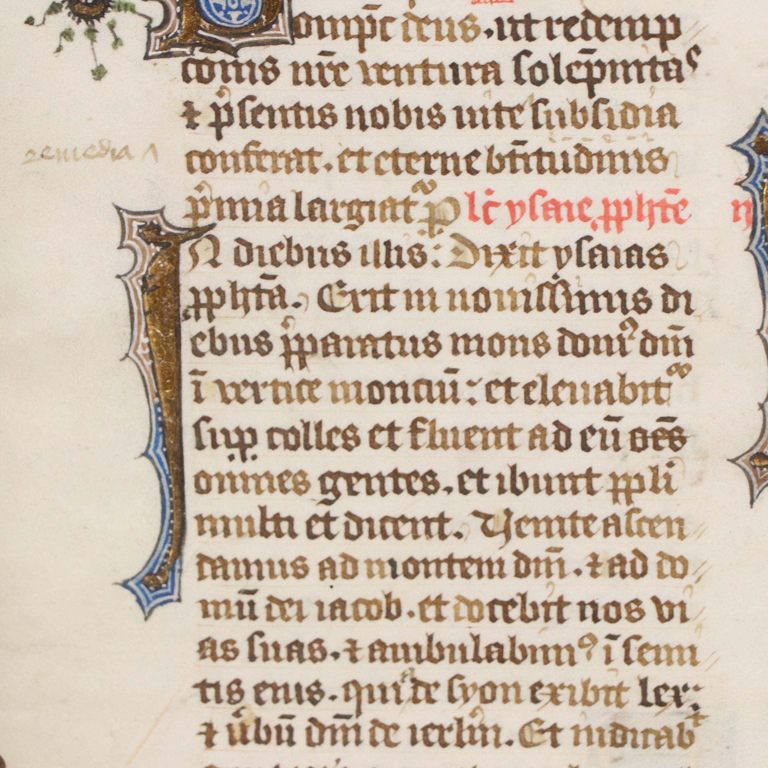 Illuminated Manuscript Leaf