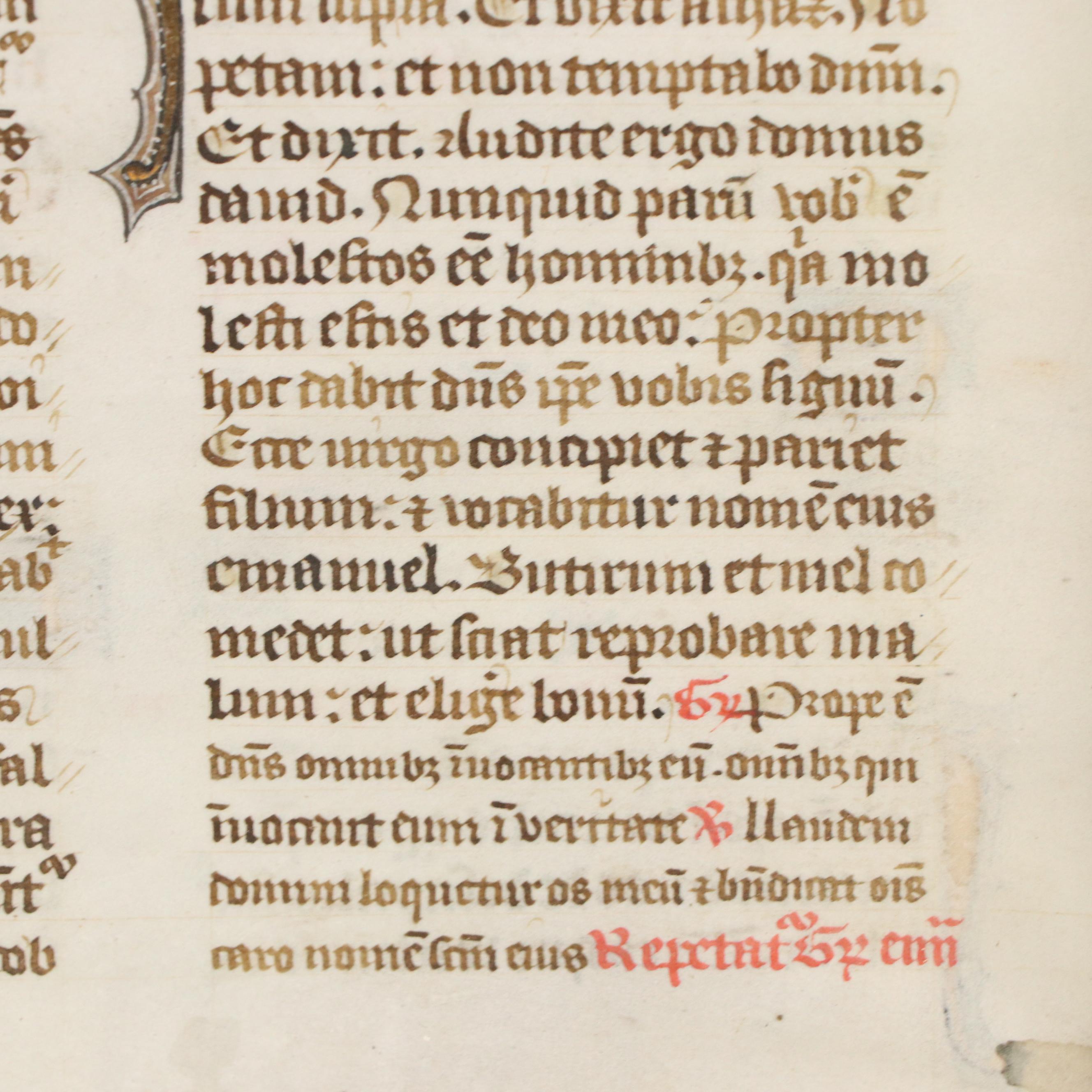 Illuminated Manuscript Leaf