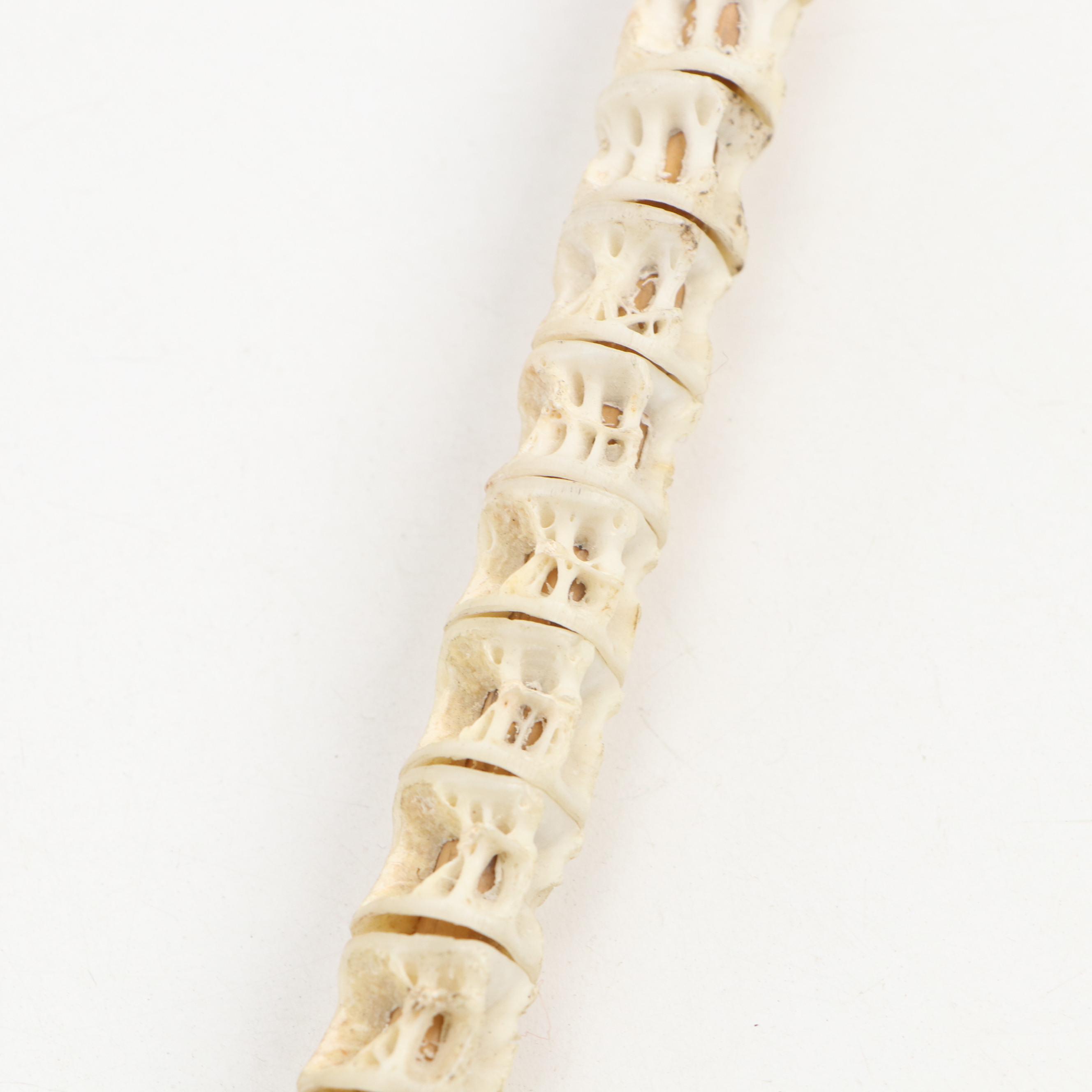 Meerschaum Pipes, Shark Vertebrae Long Pipe, Alabaster Tobacco Jar and More