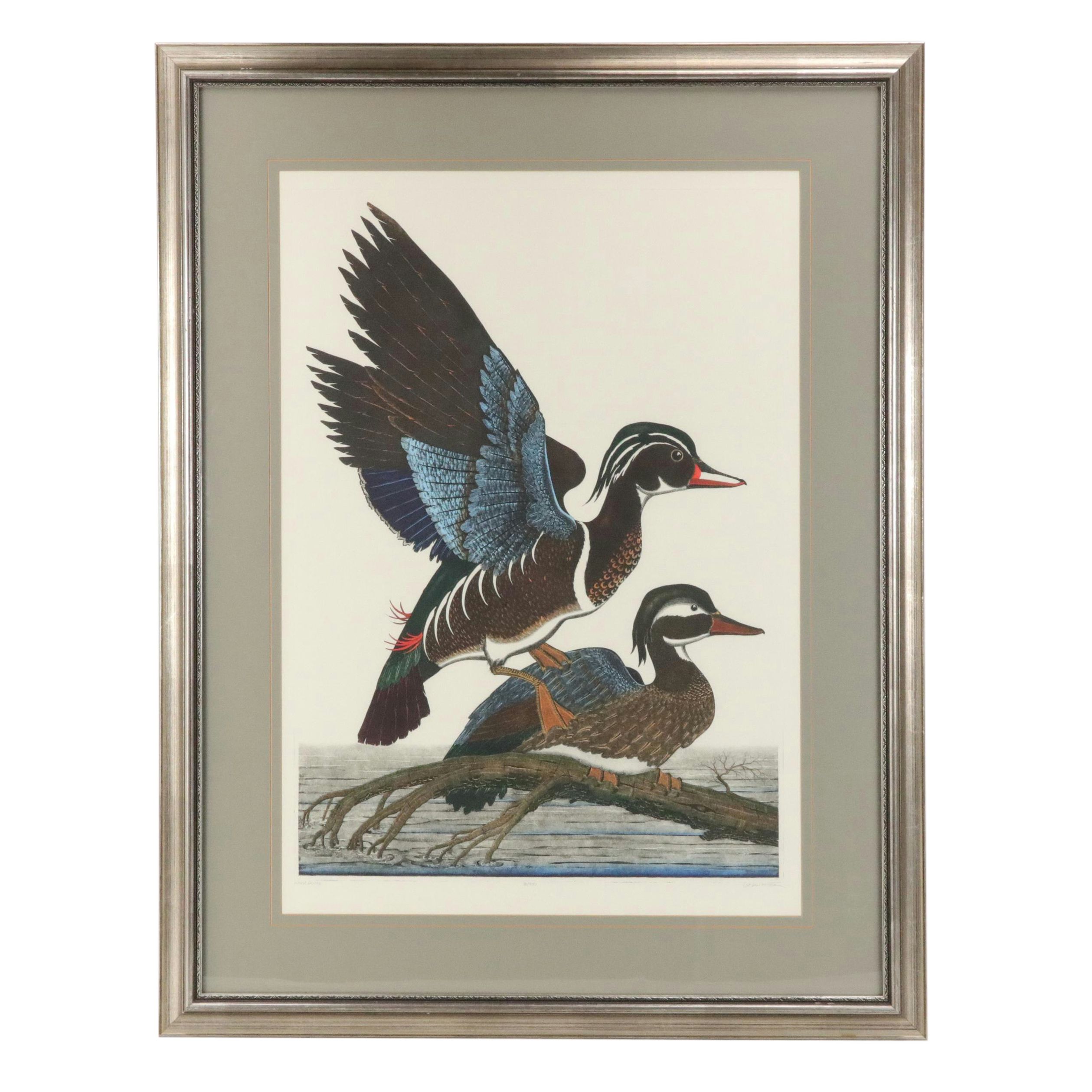 Dan Mitra Ornithological Hand-Colored Etching "Wood Ducks"