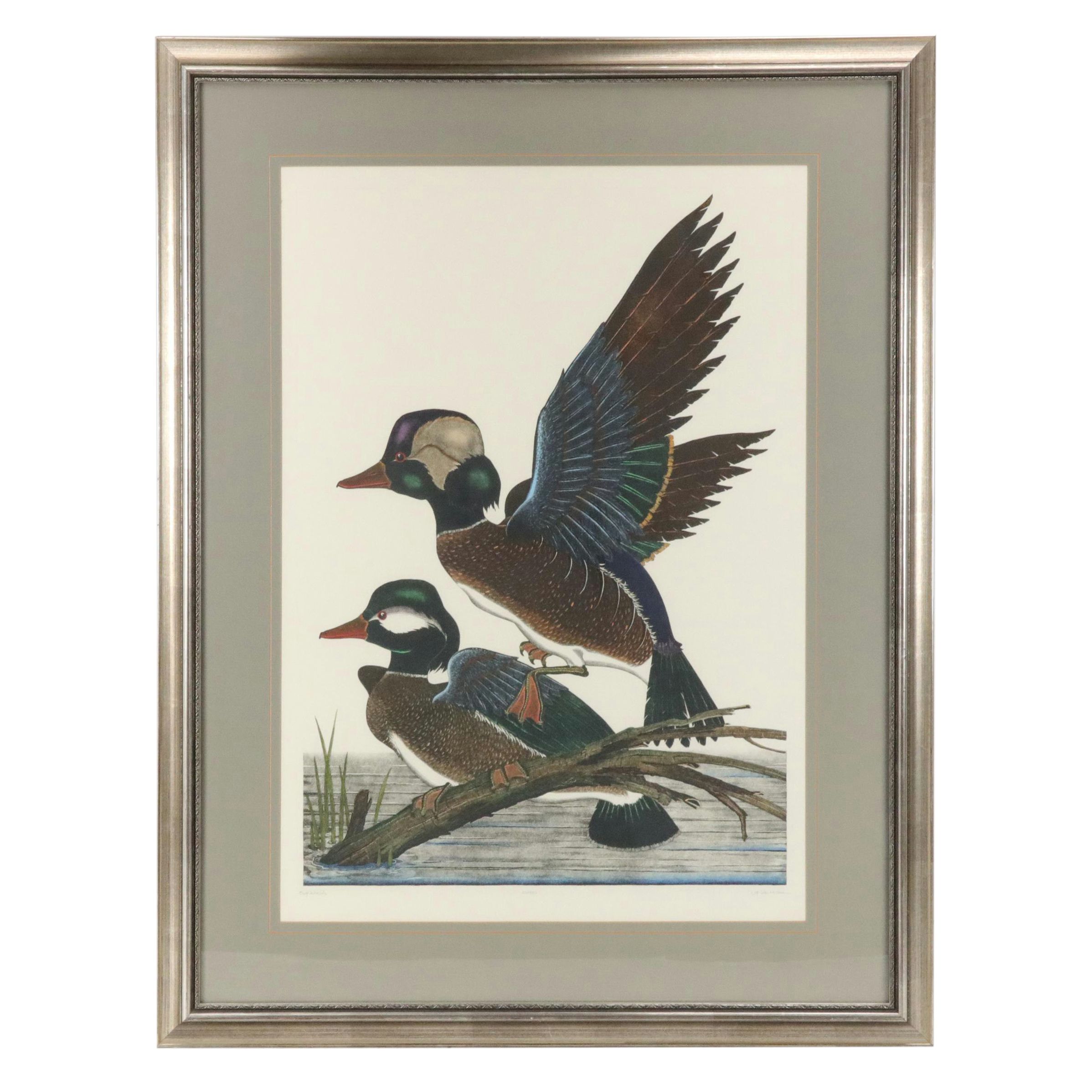 Dan Mitra Ornithological Hand-Colored Etching "Buffleheads"