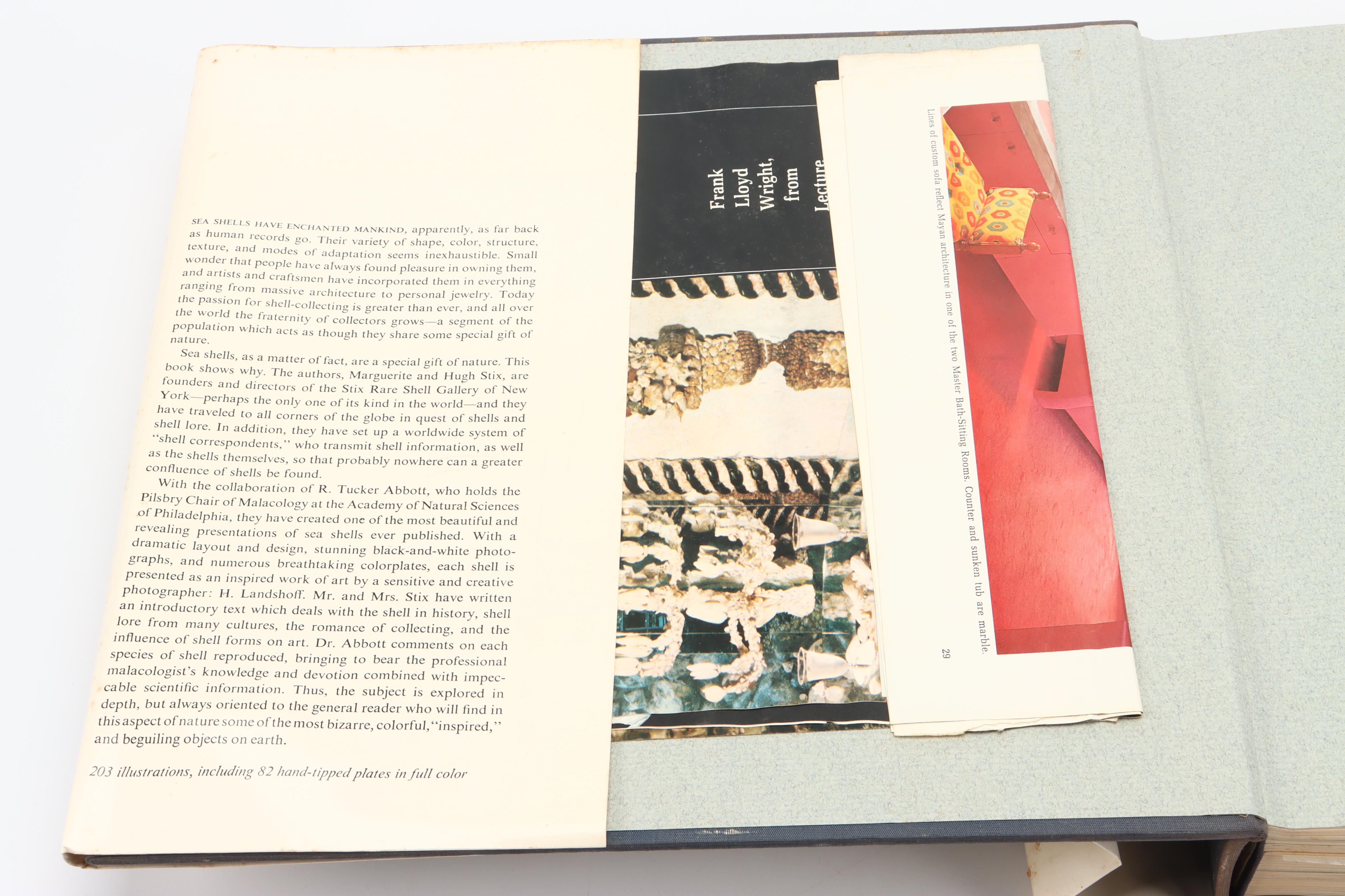 Illustrated "The Shell: Five Hundred Million Years of Inspired Design" and More