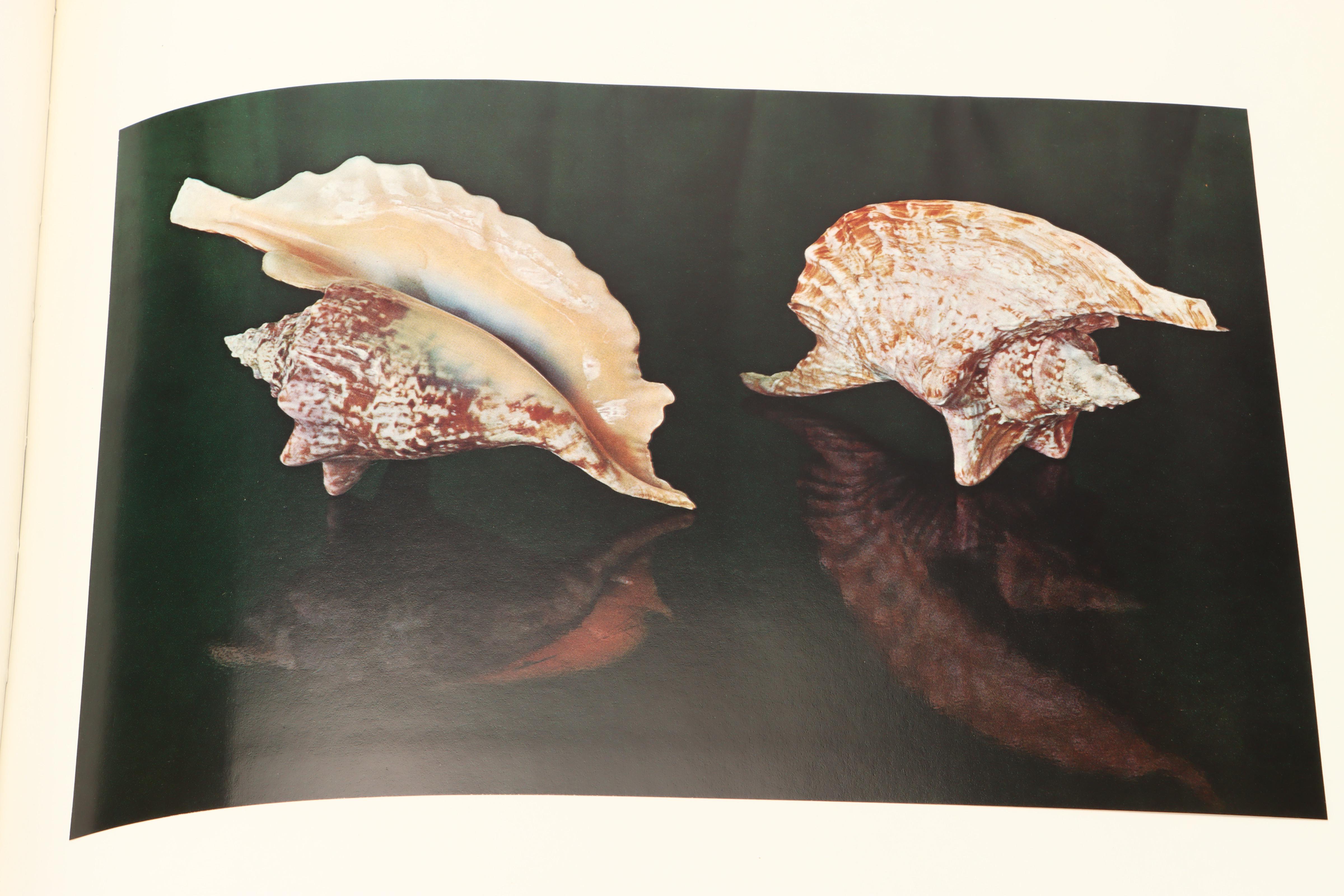 Illustrated "The Shell: Five Hundred Million Years of Inspired Design" and More