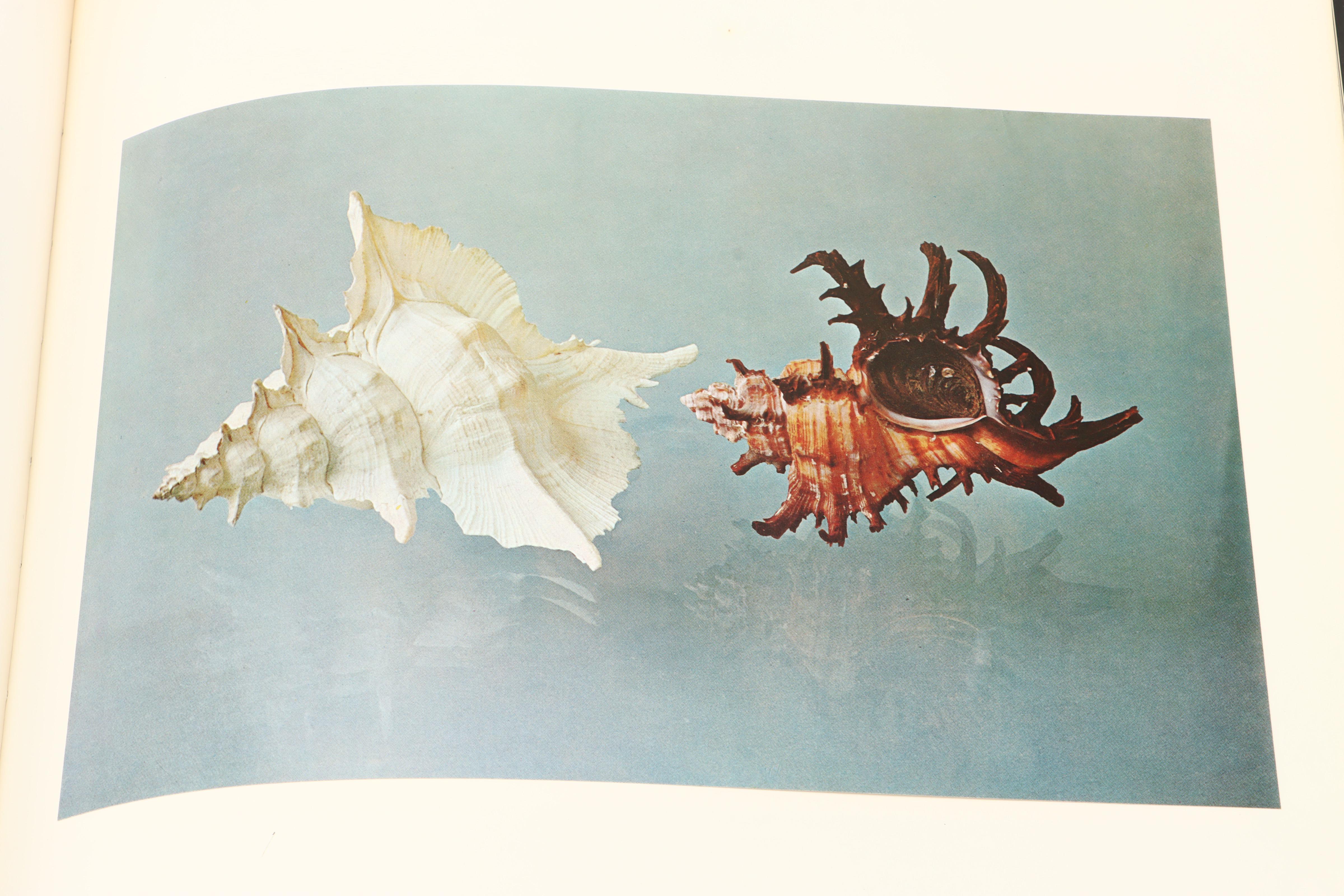 Illustrated "The Shell: Five Hundred Million Years of Inspired Design" and More