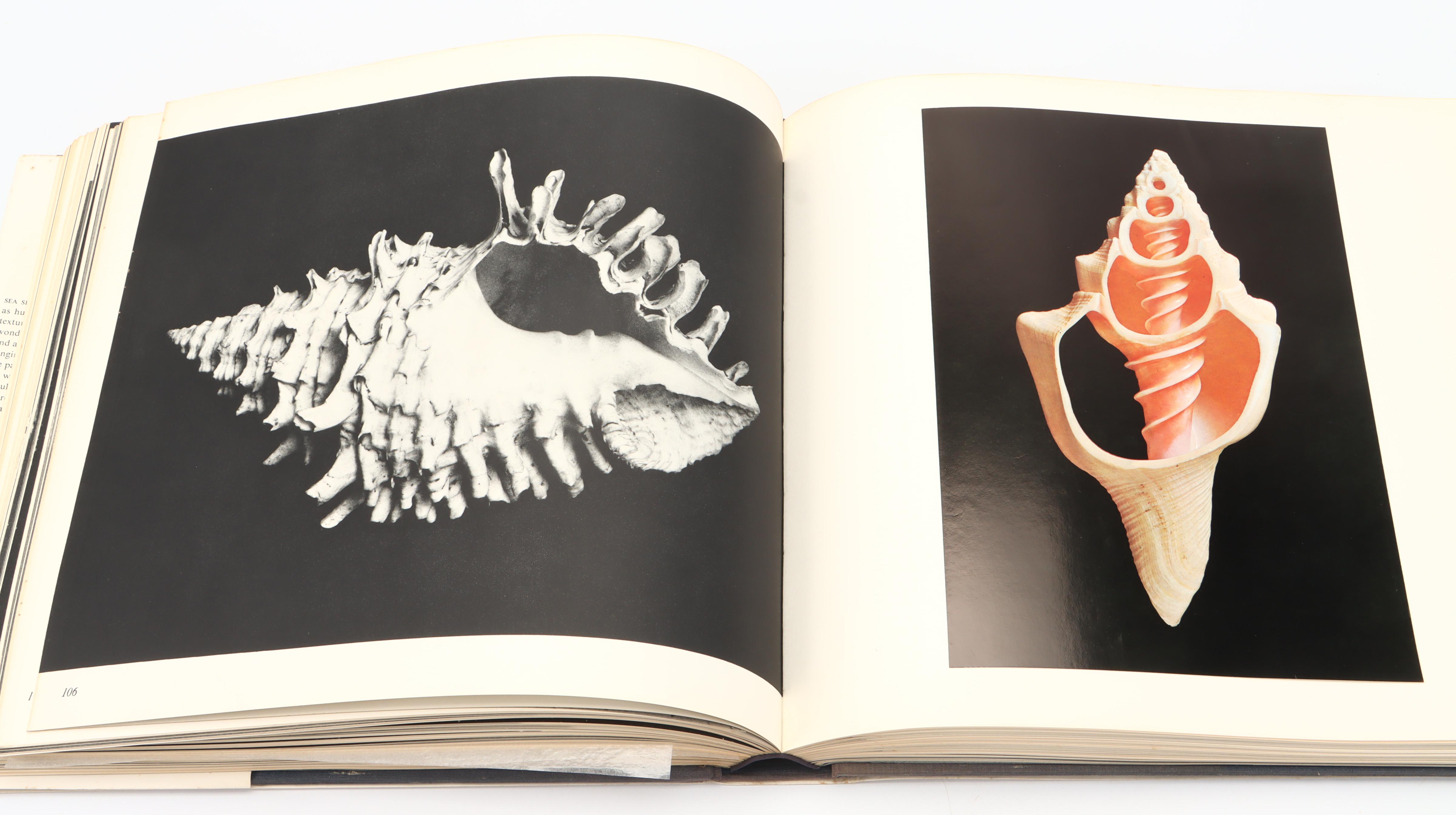 Illustrated "The Shell: Five Hundred Million Years of Inspired Design" and More