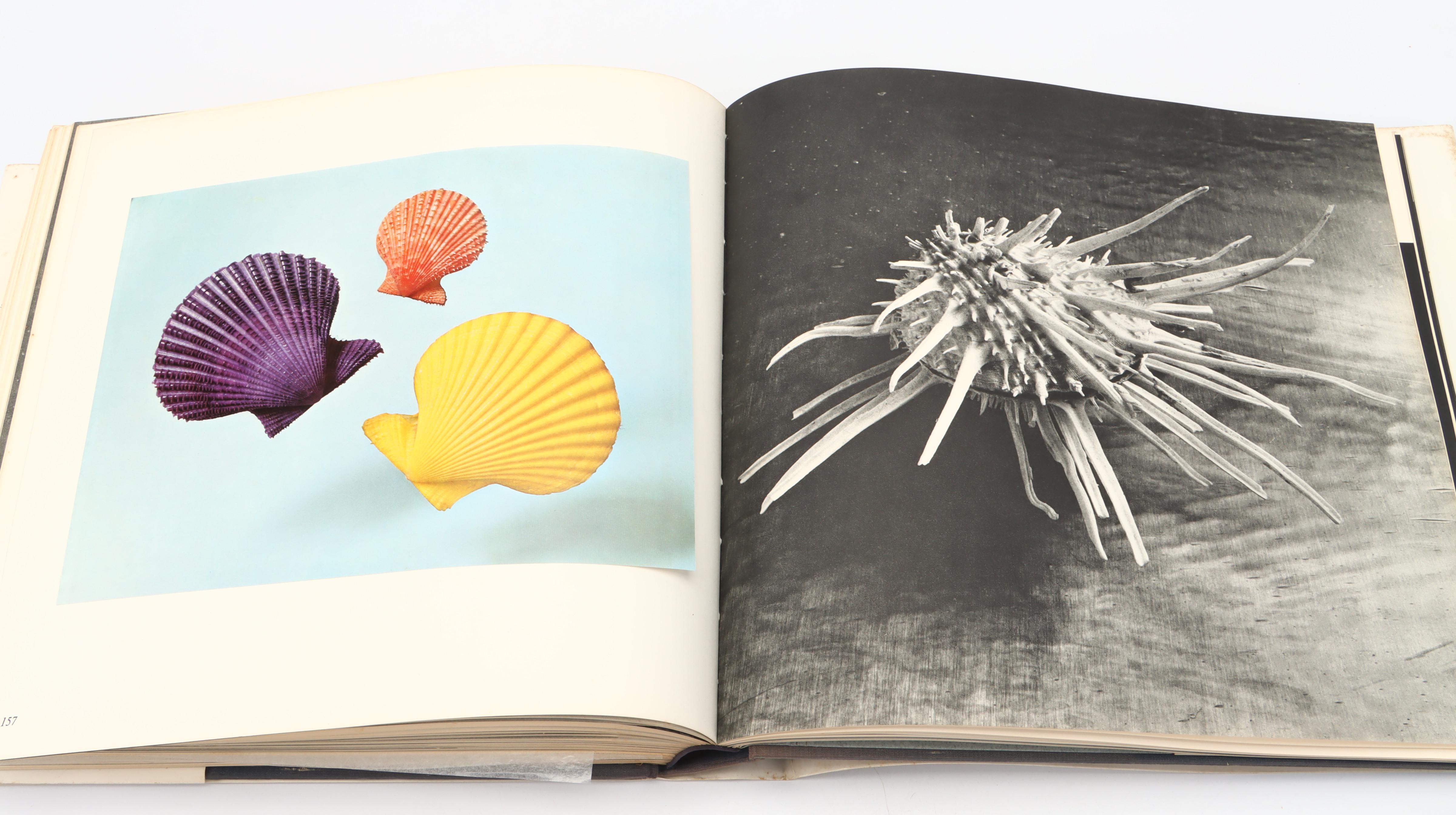 Illustrated "The Shell: Five Hundred Million Years of Inspired Design" and More