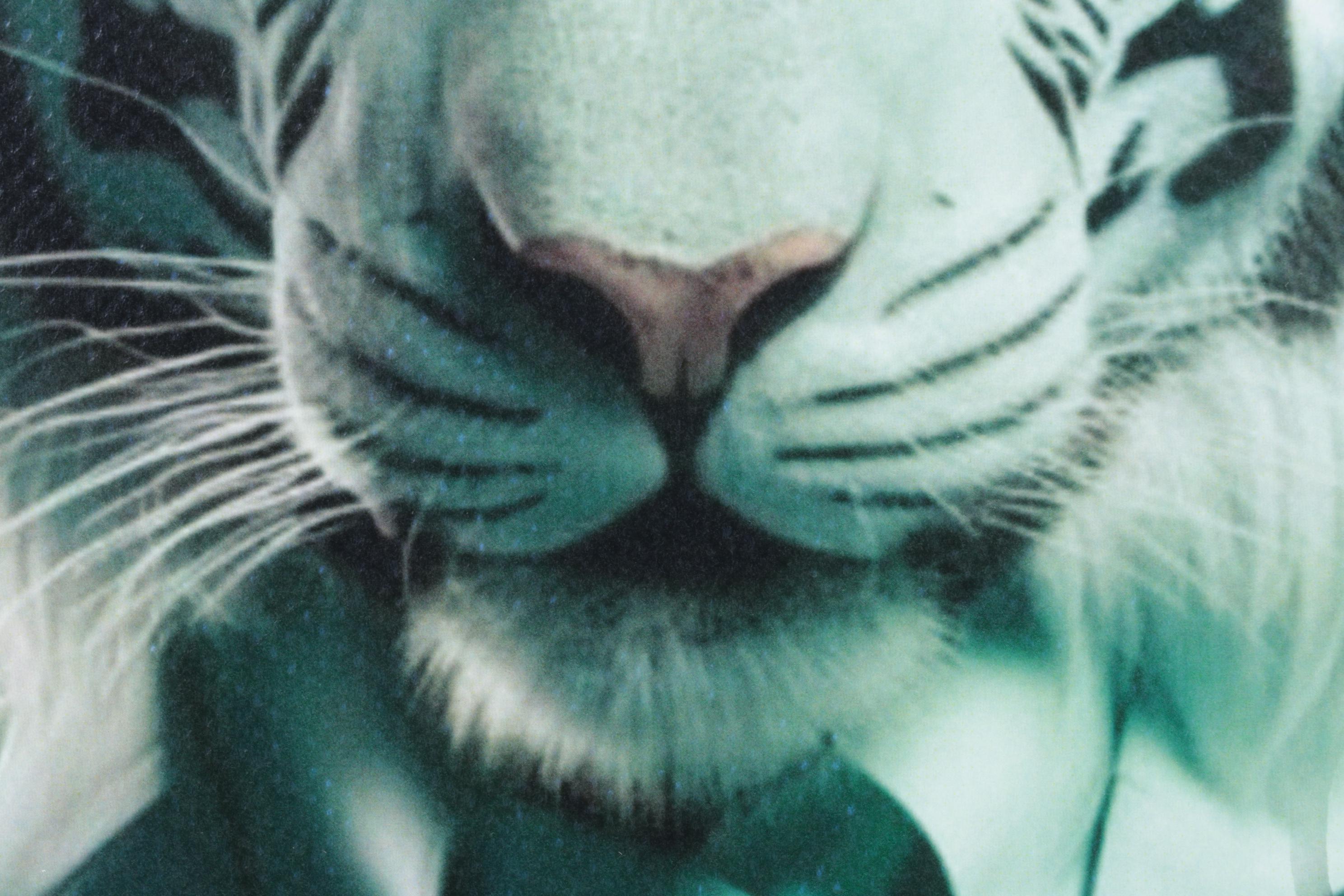 Death NYC Pop Art Homage to Gucci x White Tiger, 2025