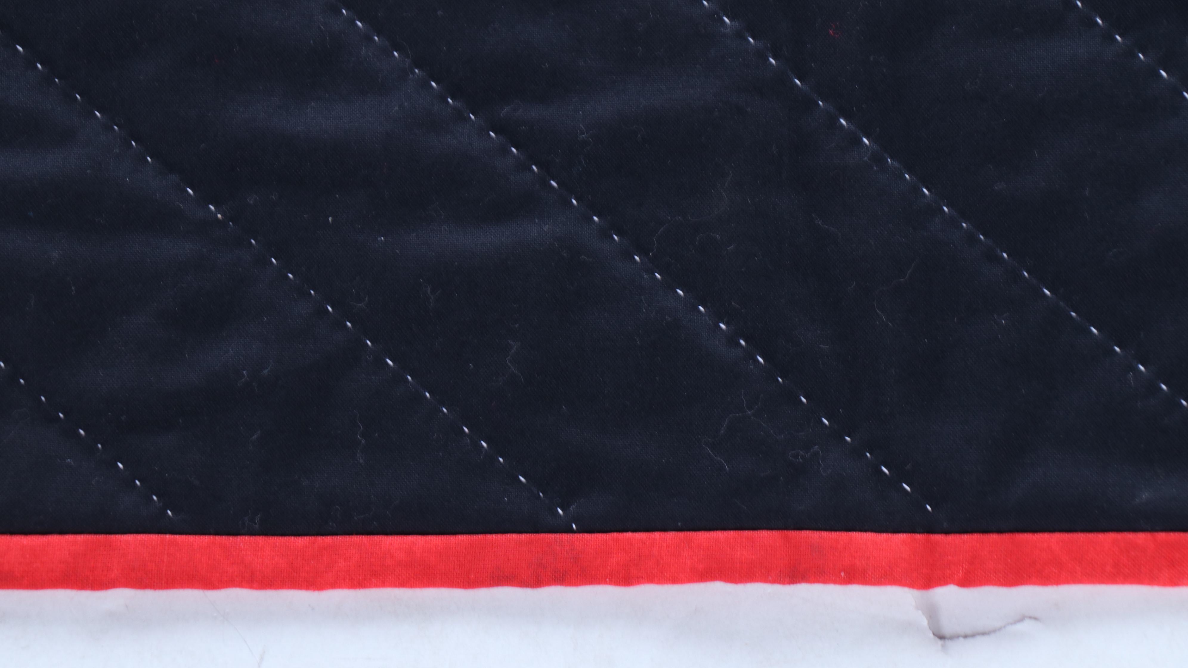 Cacilda Meier Handmade Artisan Hanging Quilt "Sandhill Crane," 2015