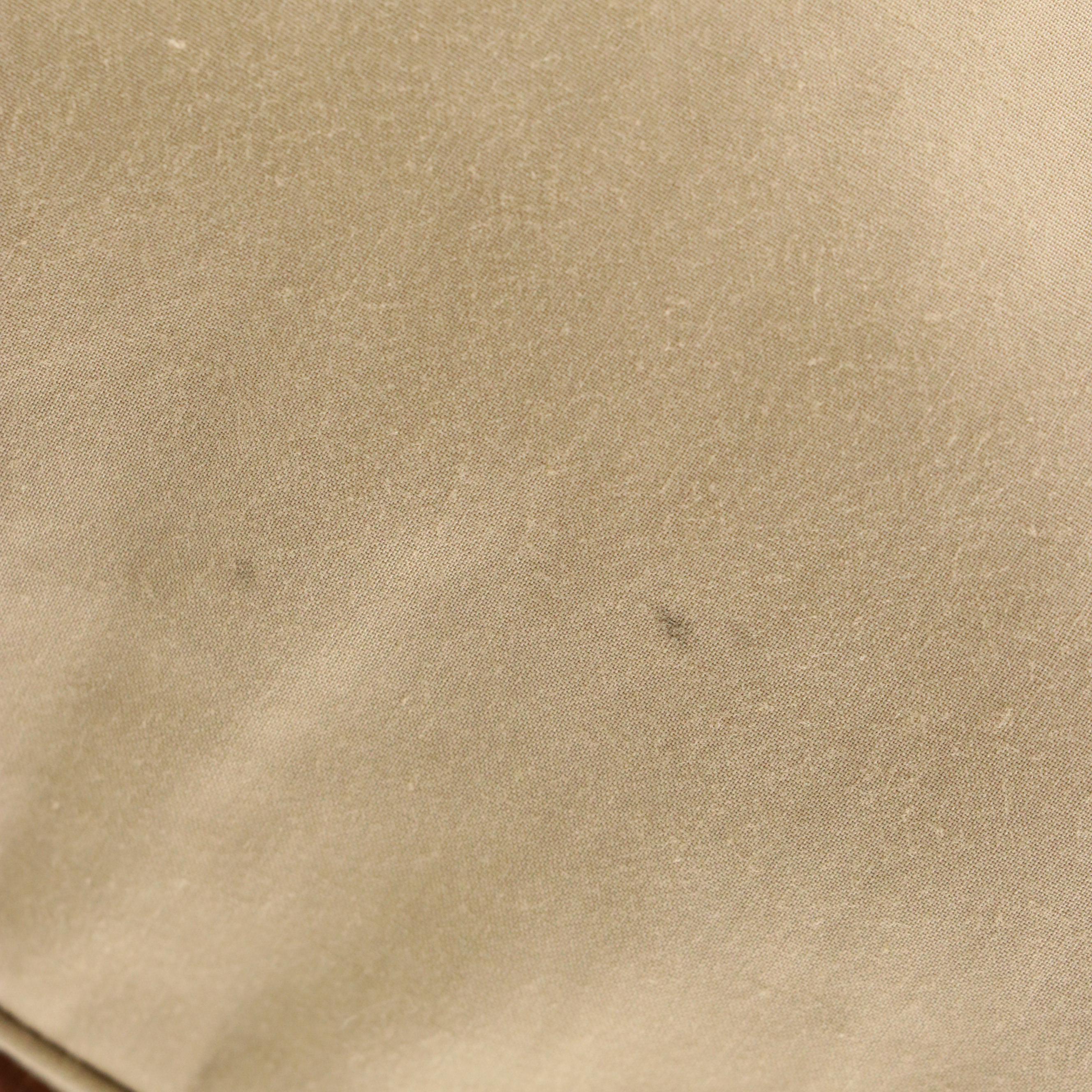 Gucci Beige Nylon Canvas Tote Bag with Brown Leather Trim and Web Stripe Accents