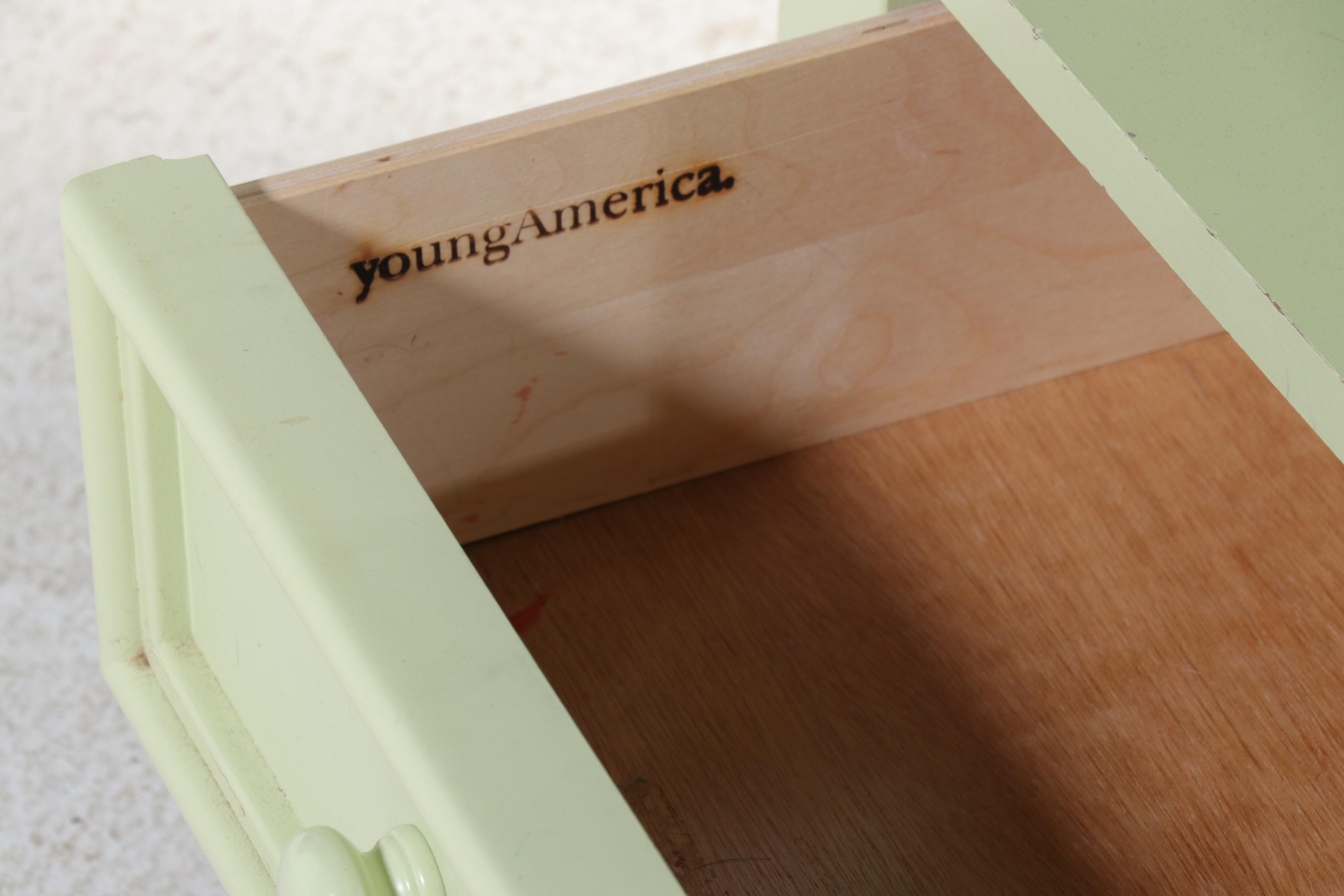 Young America by Stanley Furniture Contemporary Green Painted Wood Bedroom Set